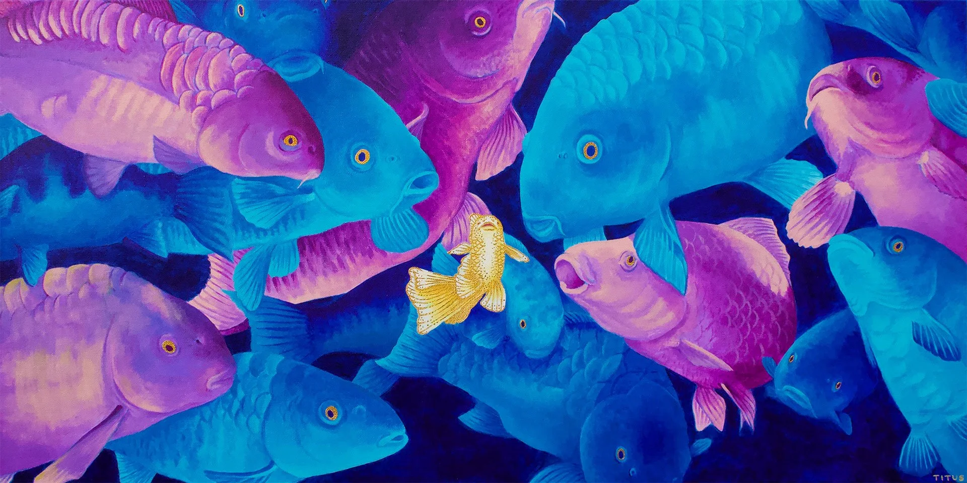 About_Banner_Fish.jpg