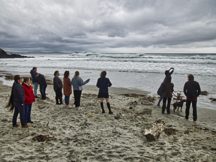 crowd on beach fullsizeoutput_10c7.jpeg