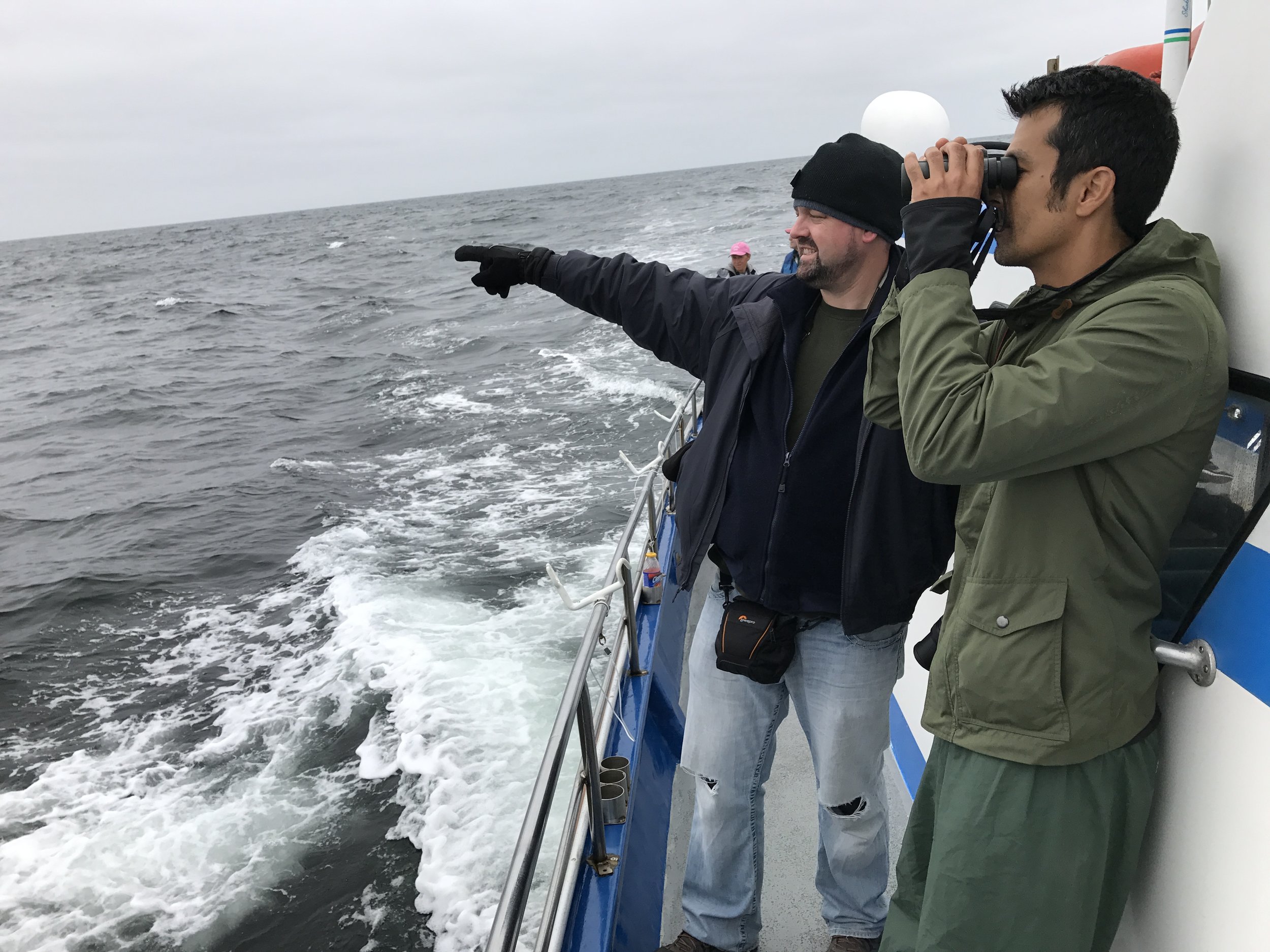 Pacific Ocean / Debi Shearwater Journeys