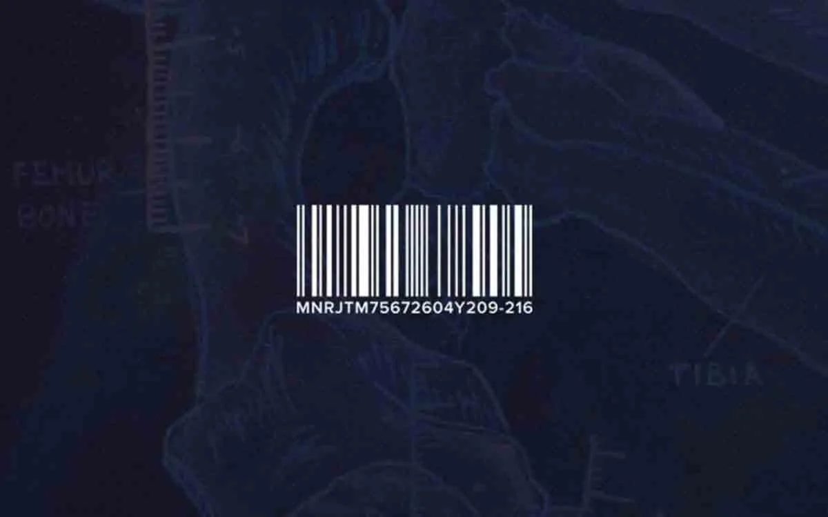 julieta-manrique-columbus-ohio-artist-brand-iconography-barcode.jpg