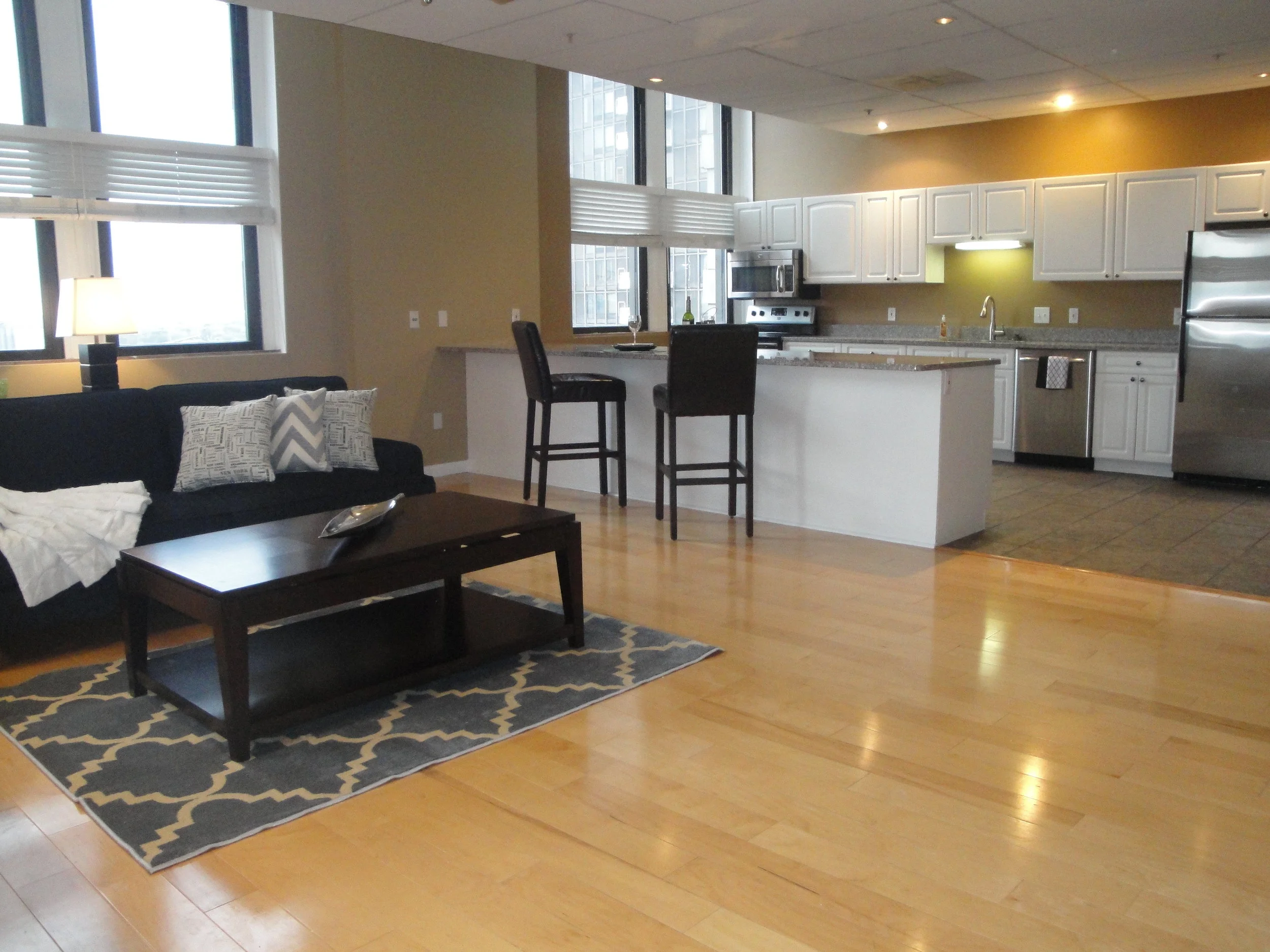 Downtown Apartments for Rent in St. Louis, MO