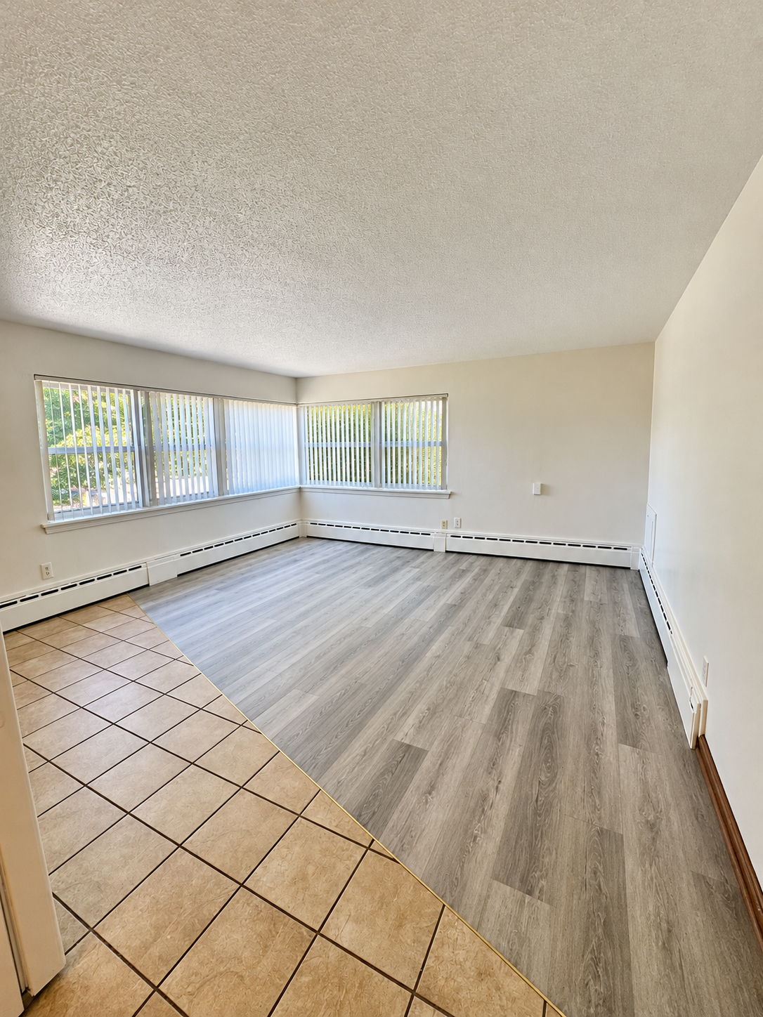 Empty Sunlit Living Room with Split Flooring.png
