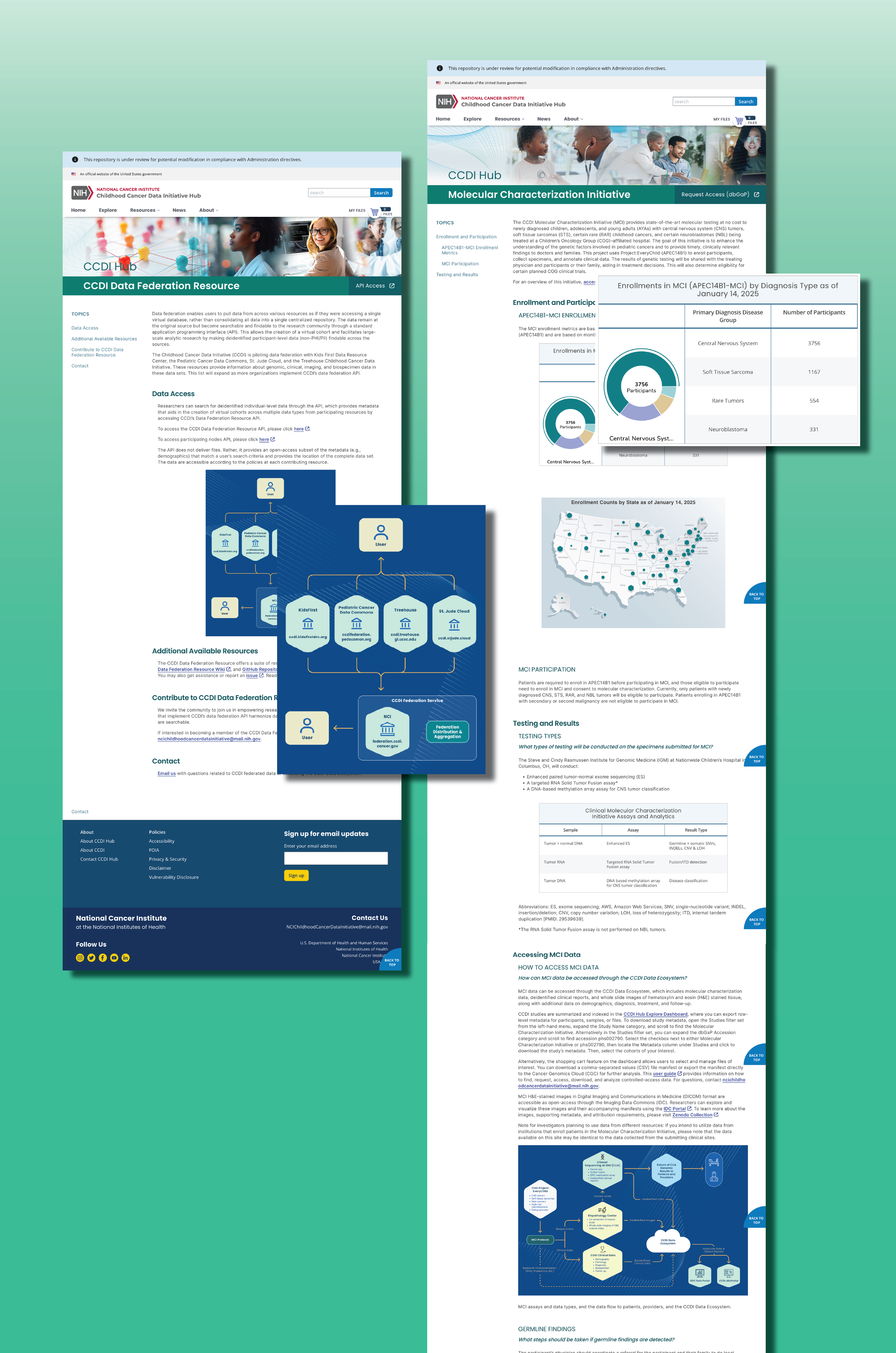 CCDI - Web Mockups-03.png