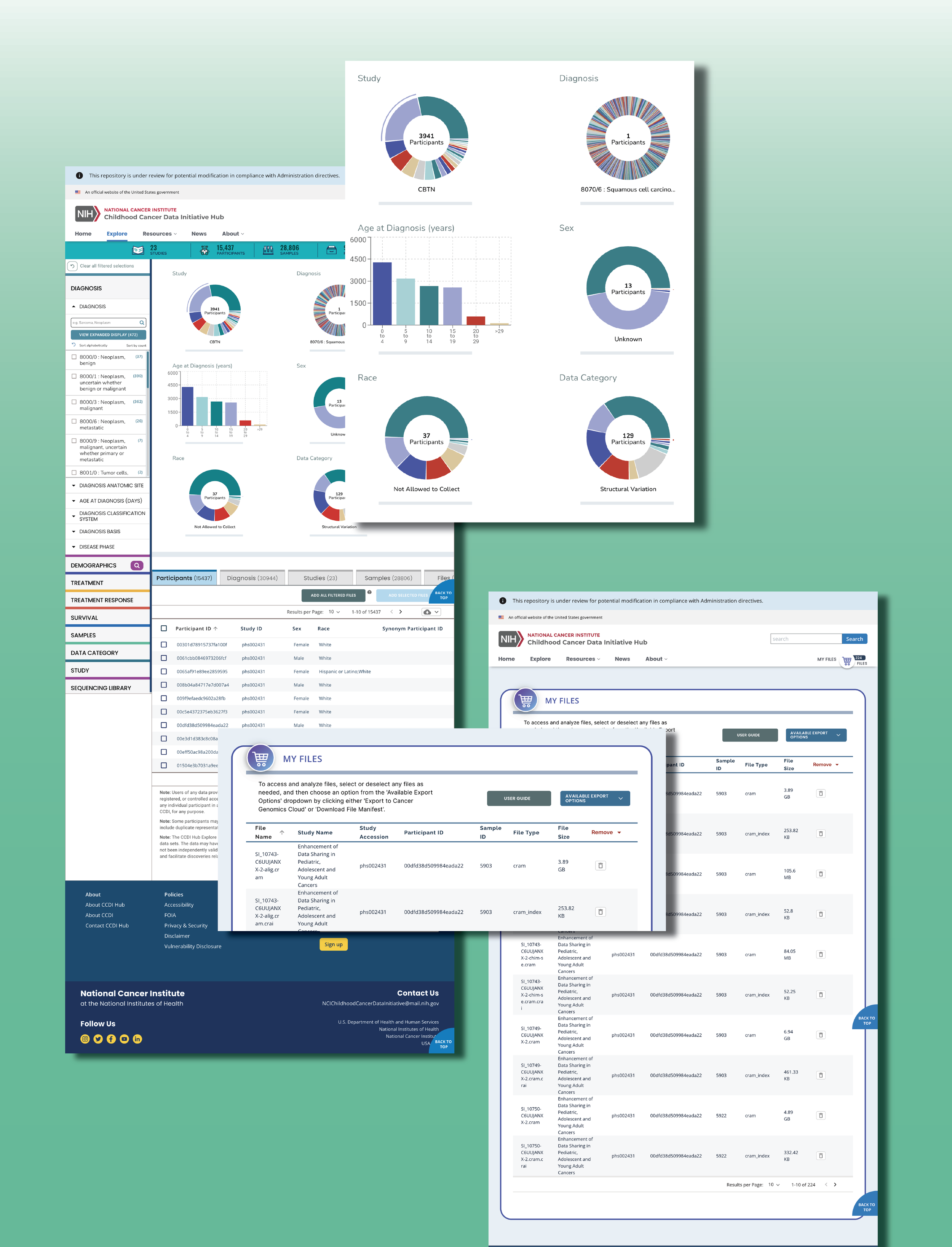 CCDI - Web Mockups.png