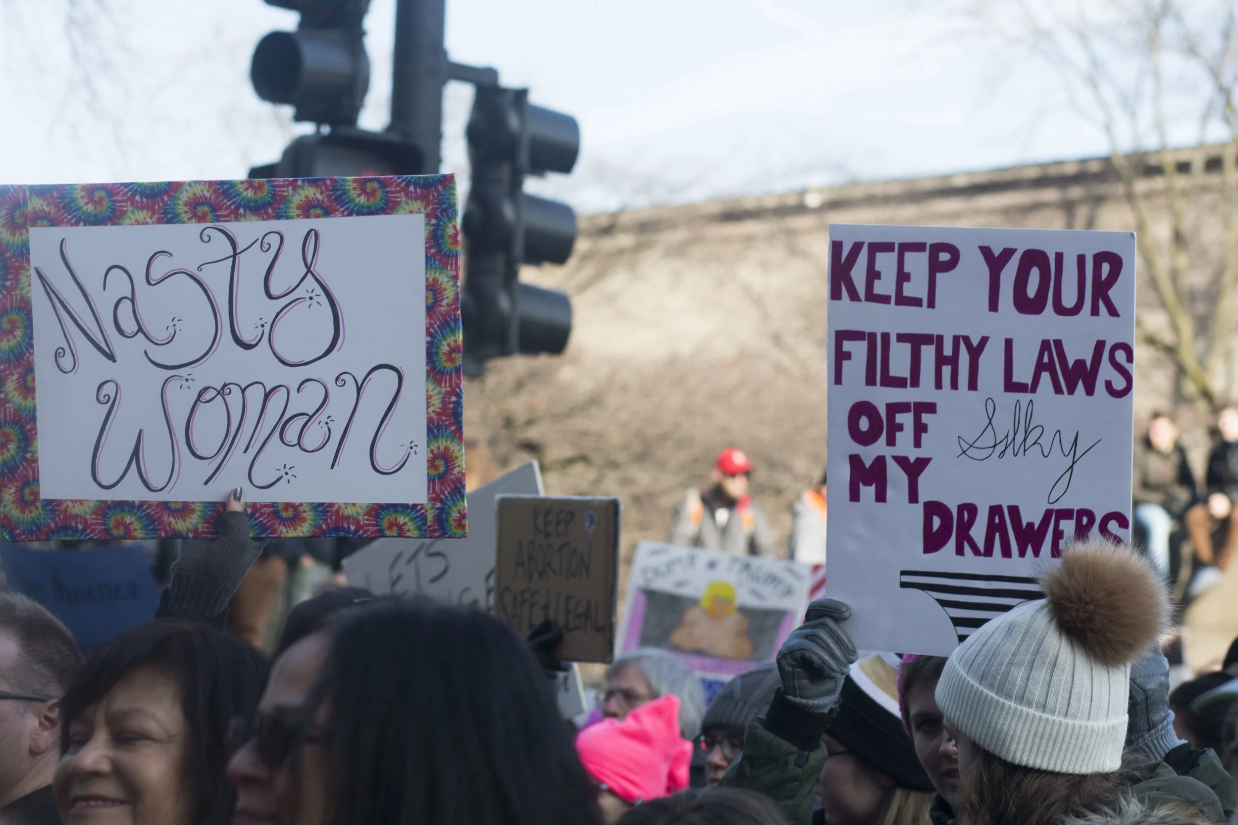 chicagowomensmarch.jpg