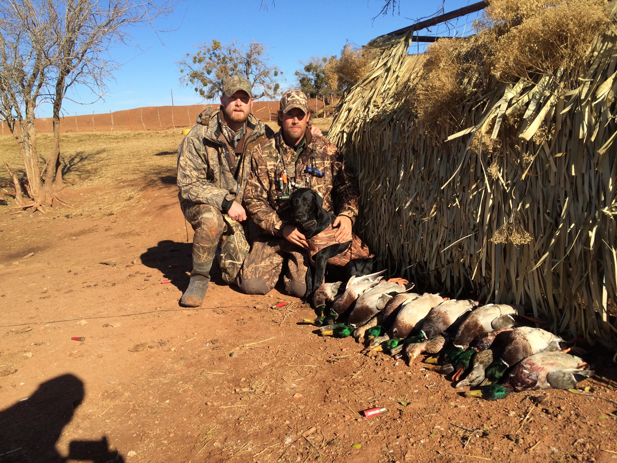Circle Bar Ranch Mallard Migration Duck Hunters in Truscott Texas