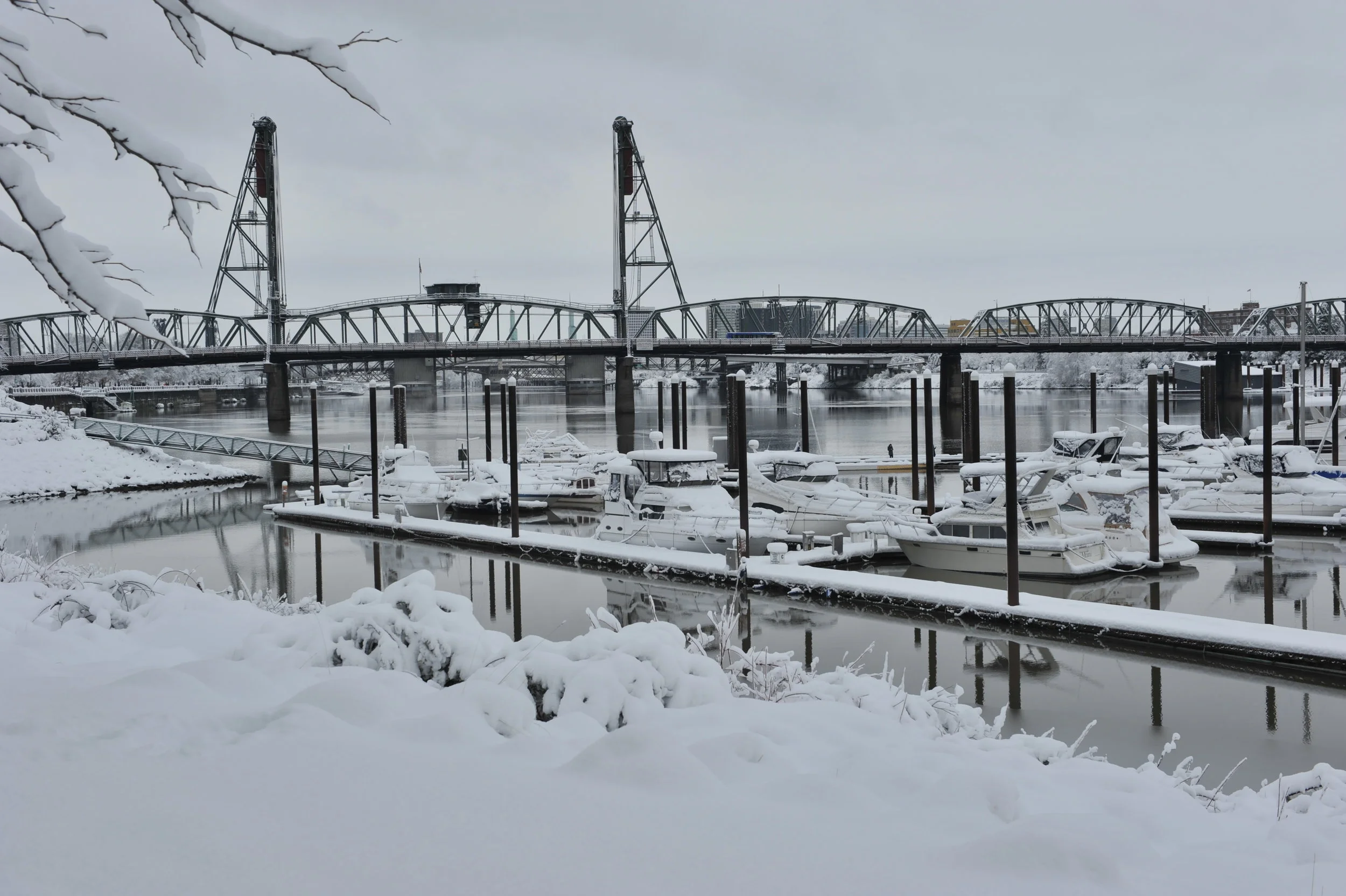 DSC_6294.JPG