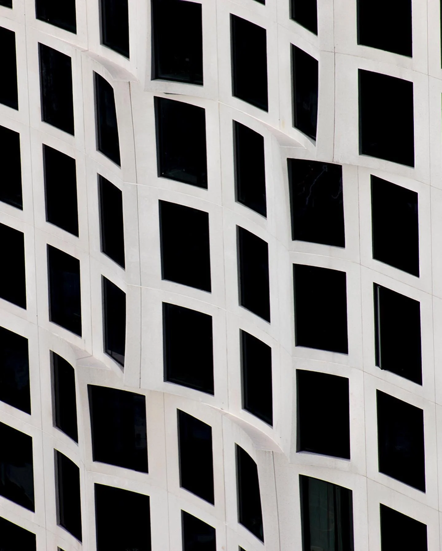 251572513_10227434361670026_4931039409275619550_n.jpg