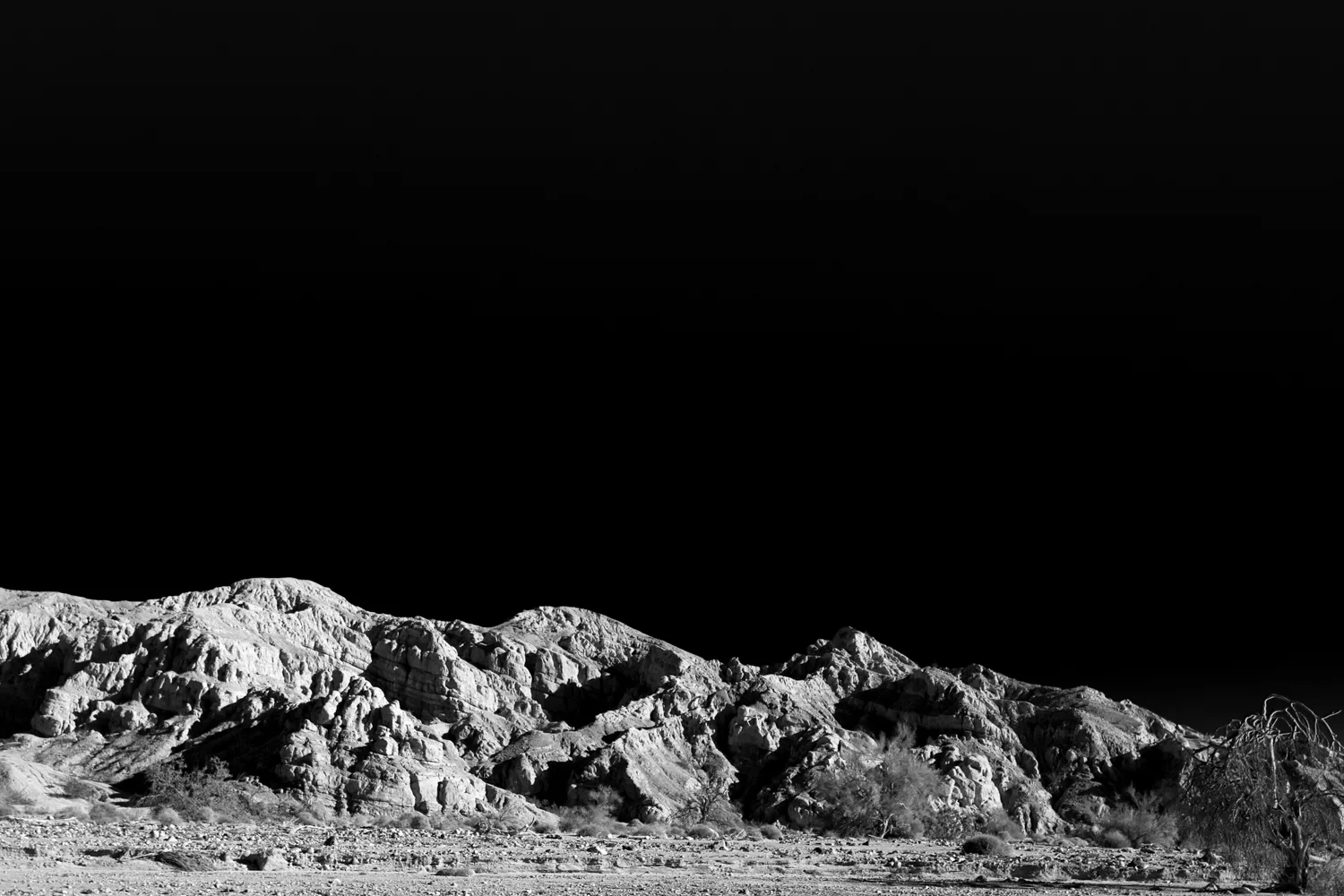 20120221-palm_desert-2.jpg