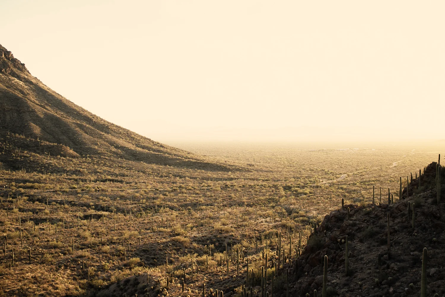 20130422-tucson.jpg