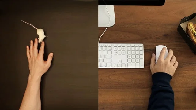 Desk.com Business Arm Party Arm