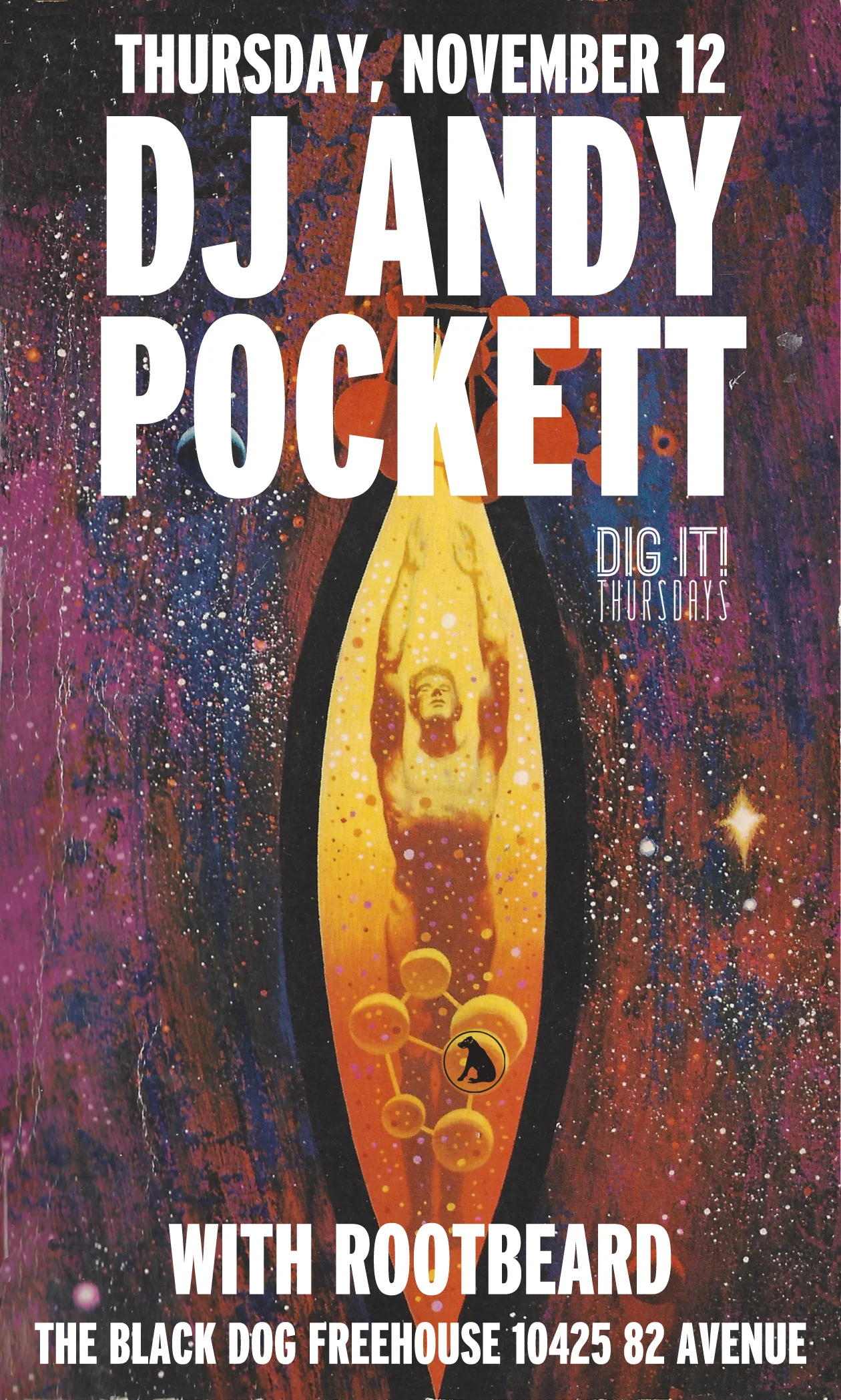 AndyPockett2015POSTER.jpg