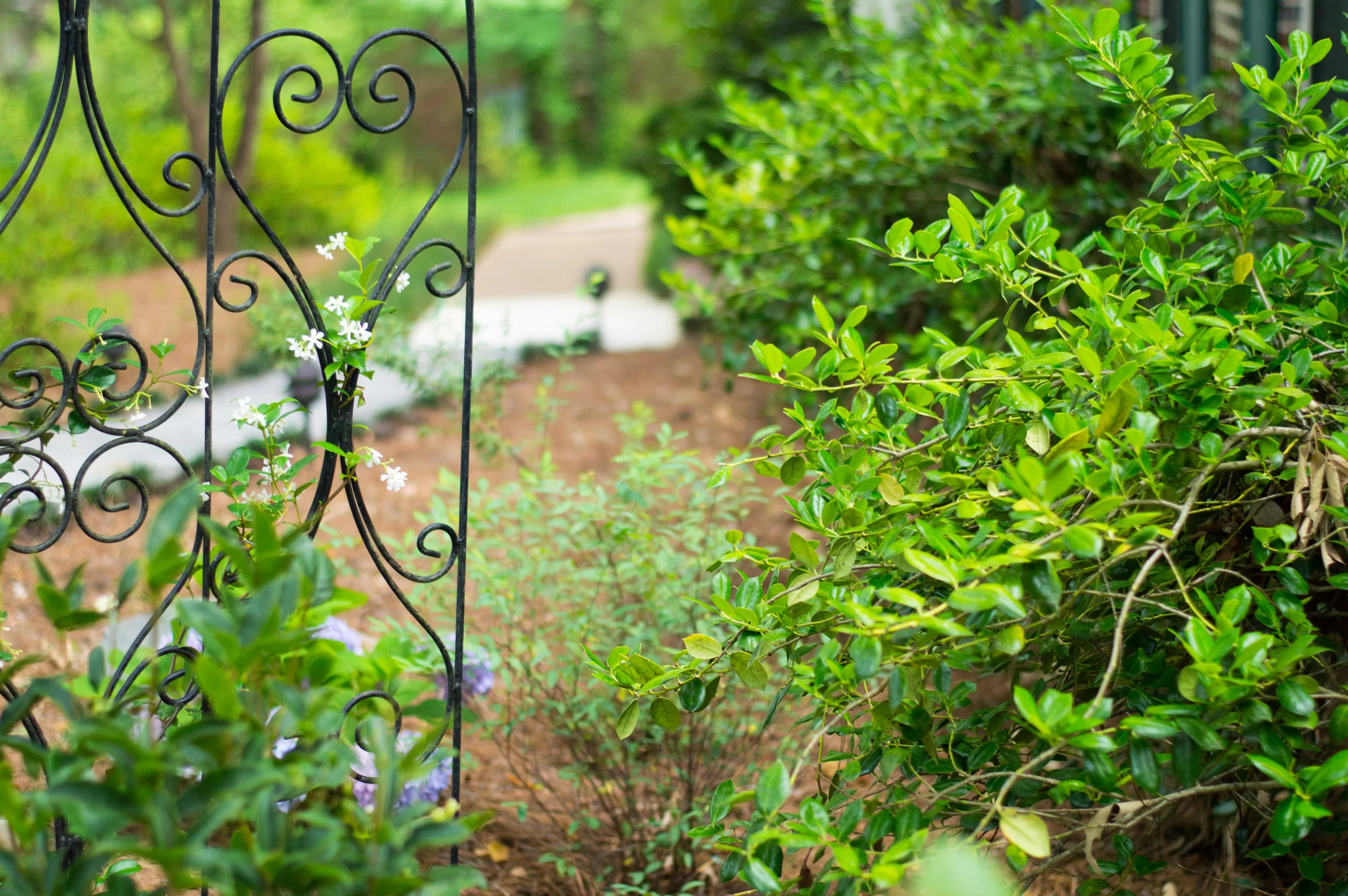 Specialist Landscaping | Birmingham | Mountain Brook, AL Landscaping, lawn care, maintenance, yard, architecture, exterior, southern, traditional, design, elegant, beauty, value, homeowner, home, house, outdoor living.