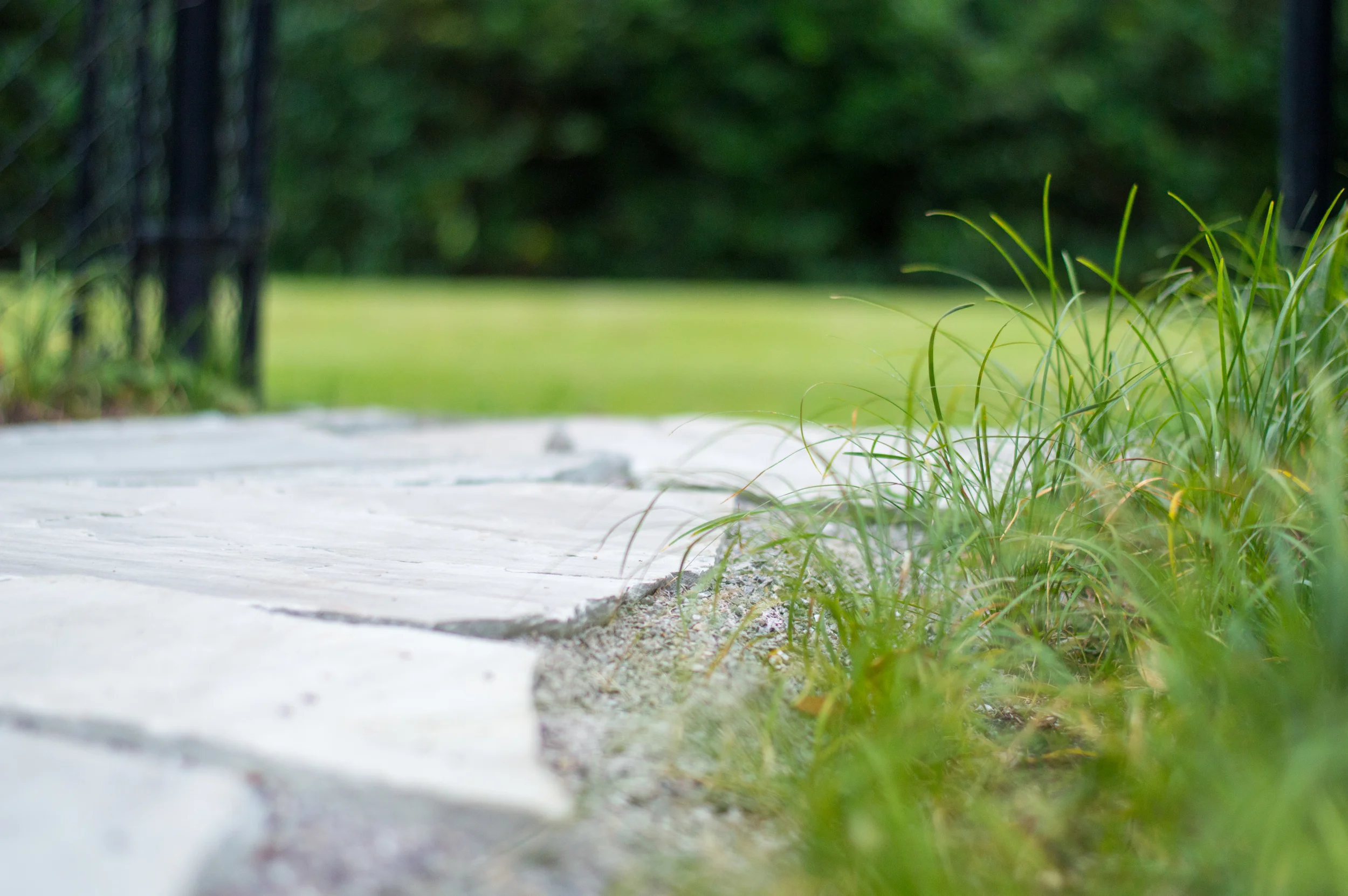 Specialist Landscaping | Birmingham | Mountain Brook, AL Landscaping, lawn care, maintenance, yard, architecture, exterior, southern, traditional, design, elegant, beauty, value, homeowner, home, house, outdoor living.