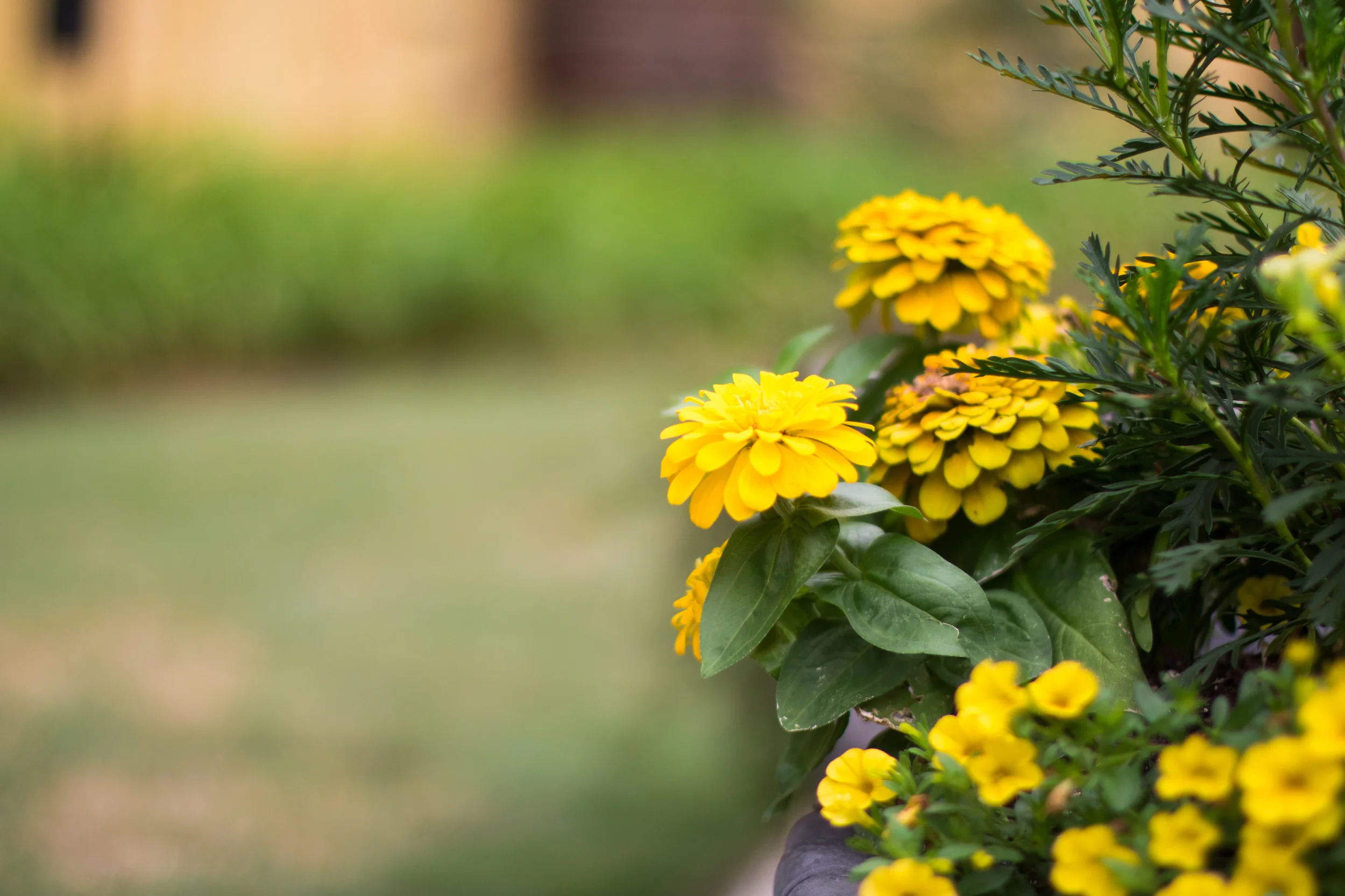 Specialist Landscaping | Birmingham | Mountain Brook, AL Landscaping, lawn care, maintenance, yard, architecture, exterior, southern, traditional, design, elegant, beauty, value, homeowner, home, house, outdoor living.
