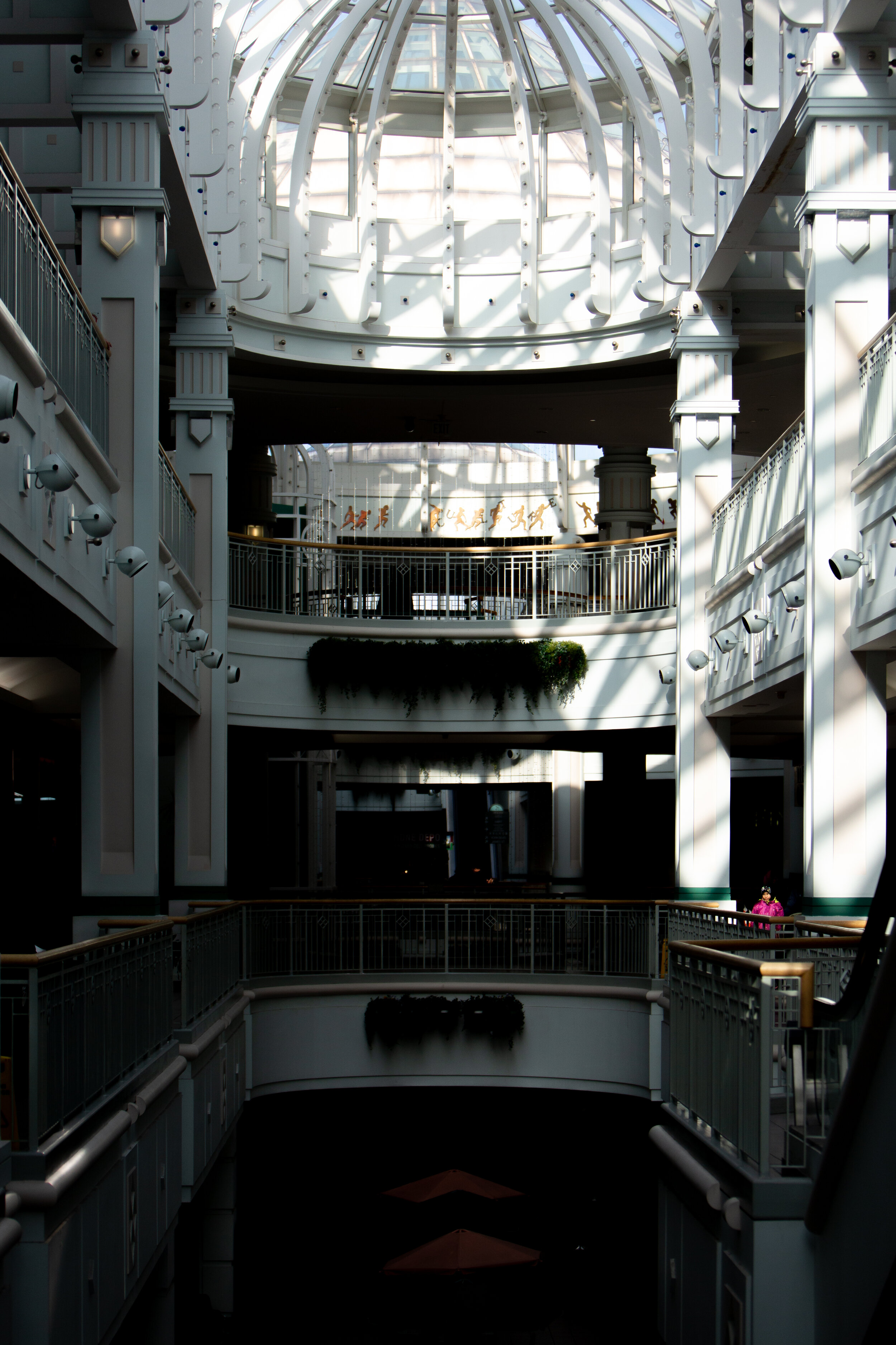 _70A3981.jpg