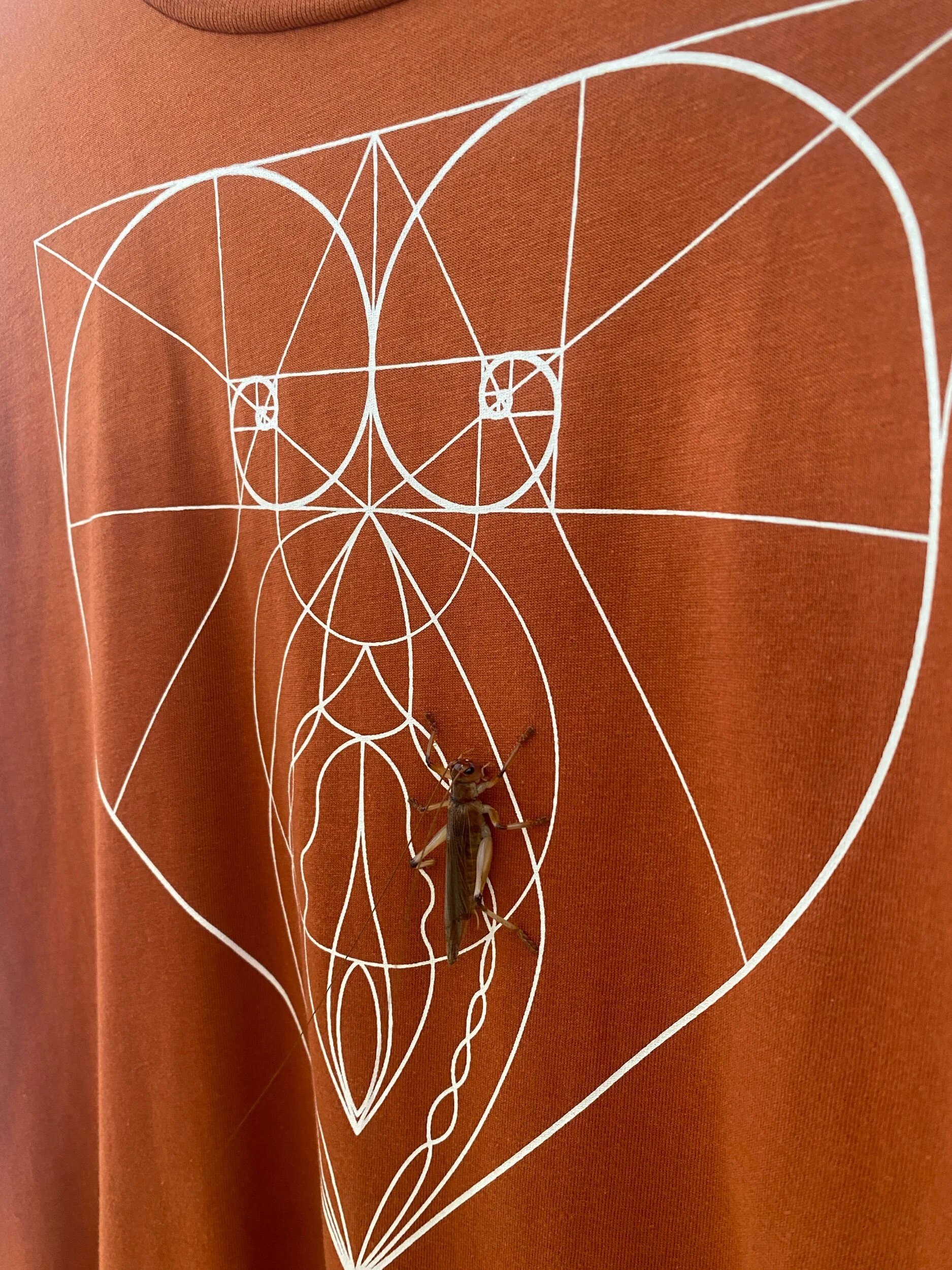 CFBCA6F3-6659-4D65-9F3D-A44EBDE24D4B