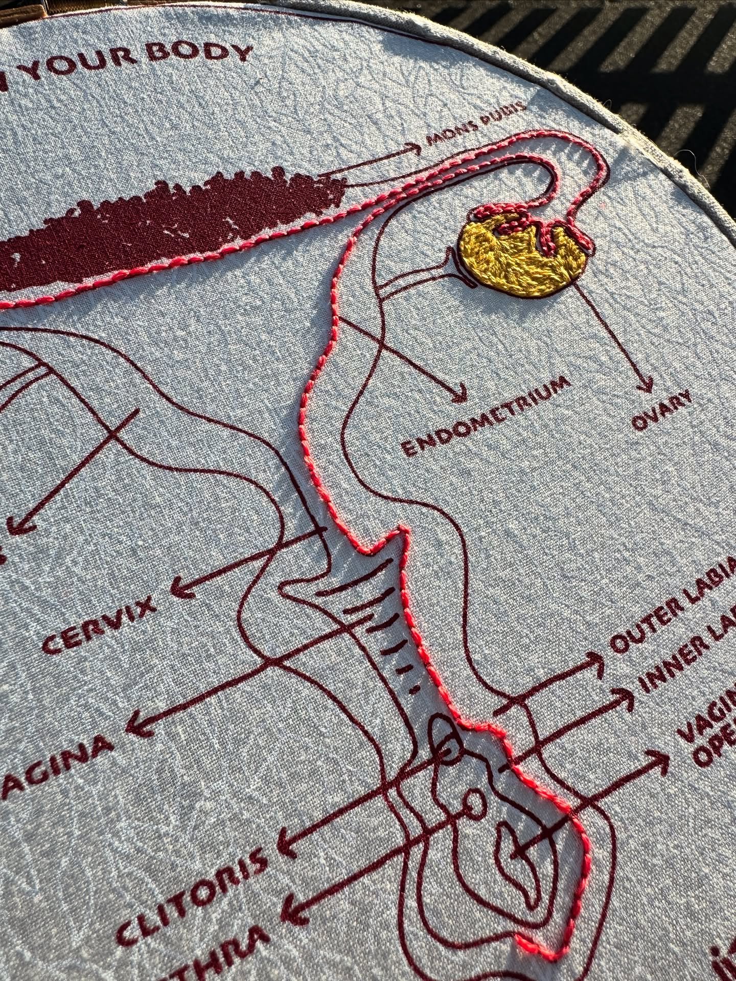 Stitch by Stitch 🪡 

Always carving time for a bit of slow embroideries in the sun light 🌞 

Would you be interested on starting an embroidery hoop to embroidery the womb anatomy?