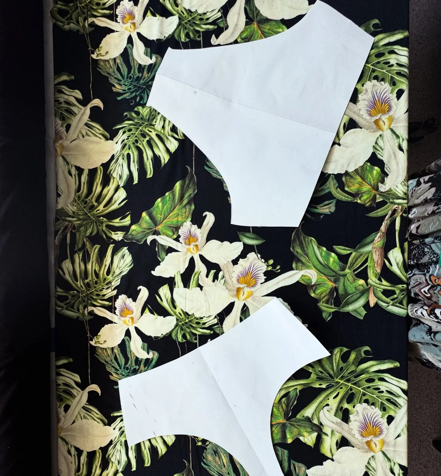 It&rsquo;s been a hot minute! ⌛️

I don&rsquo;t even know where to start, I spent three months away from the studio. Not yet ready to come back, I decided to come to vote for the next Chilean president. Yes! my electoral address is in Sydney. With my