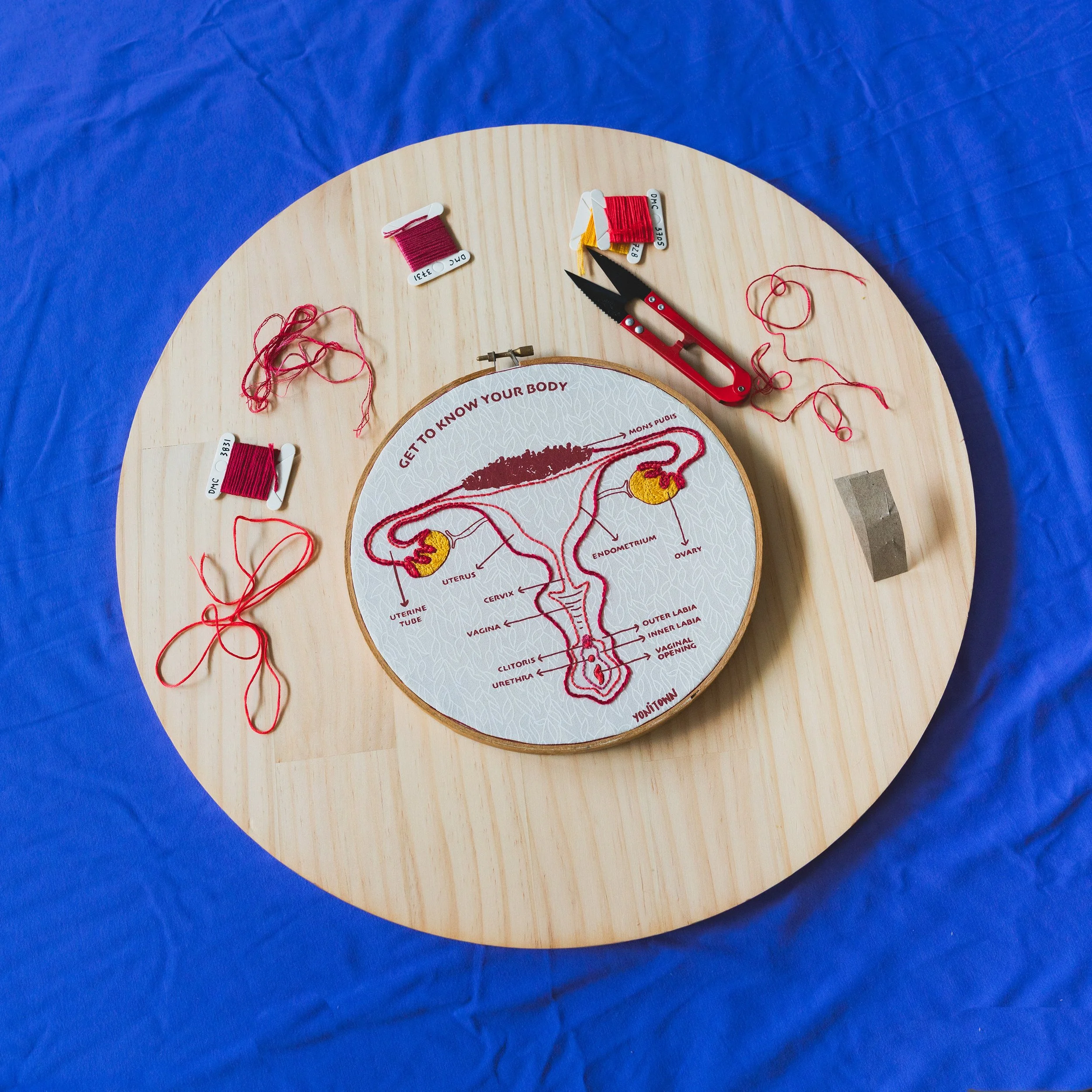 Embroidery Vulva Matrix 25.jpg