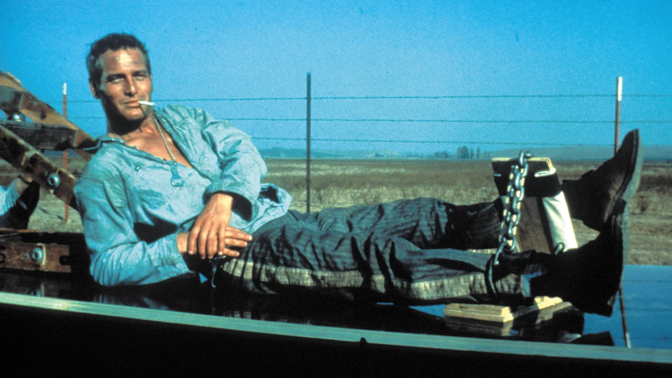 Thursday Night Movie Night - "Cool Hand Luke"