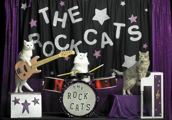 F.A.C.T. Animal Rescue Benefit featuring The Carboys