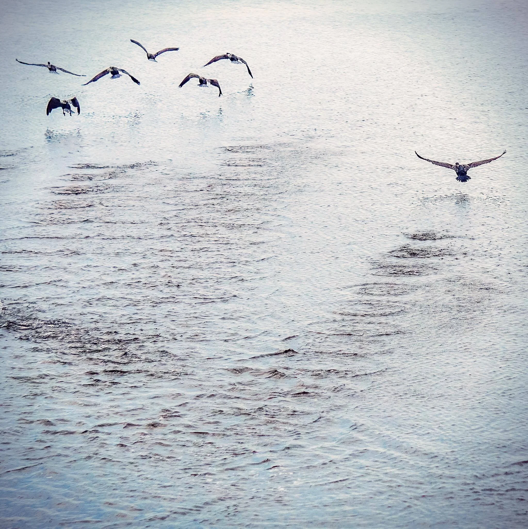 Rondo's Remembrance Day Concert