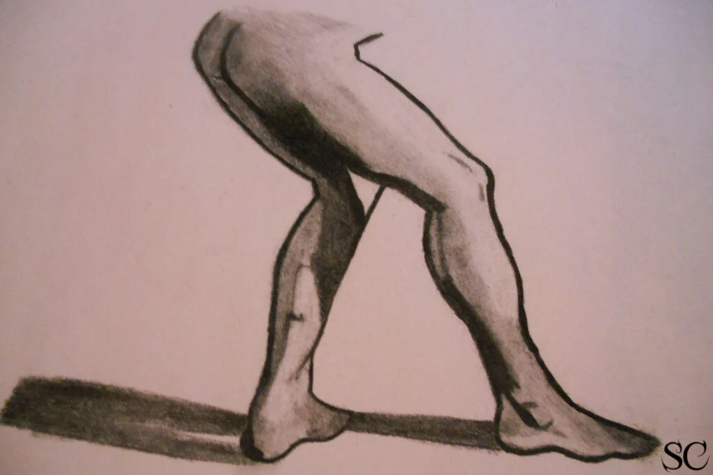 Human Anatomy - Legs