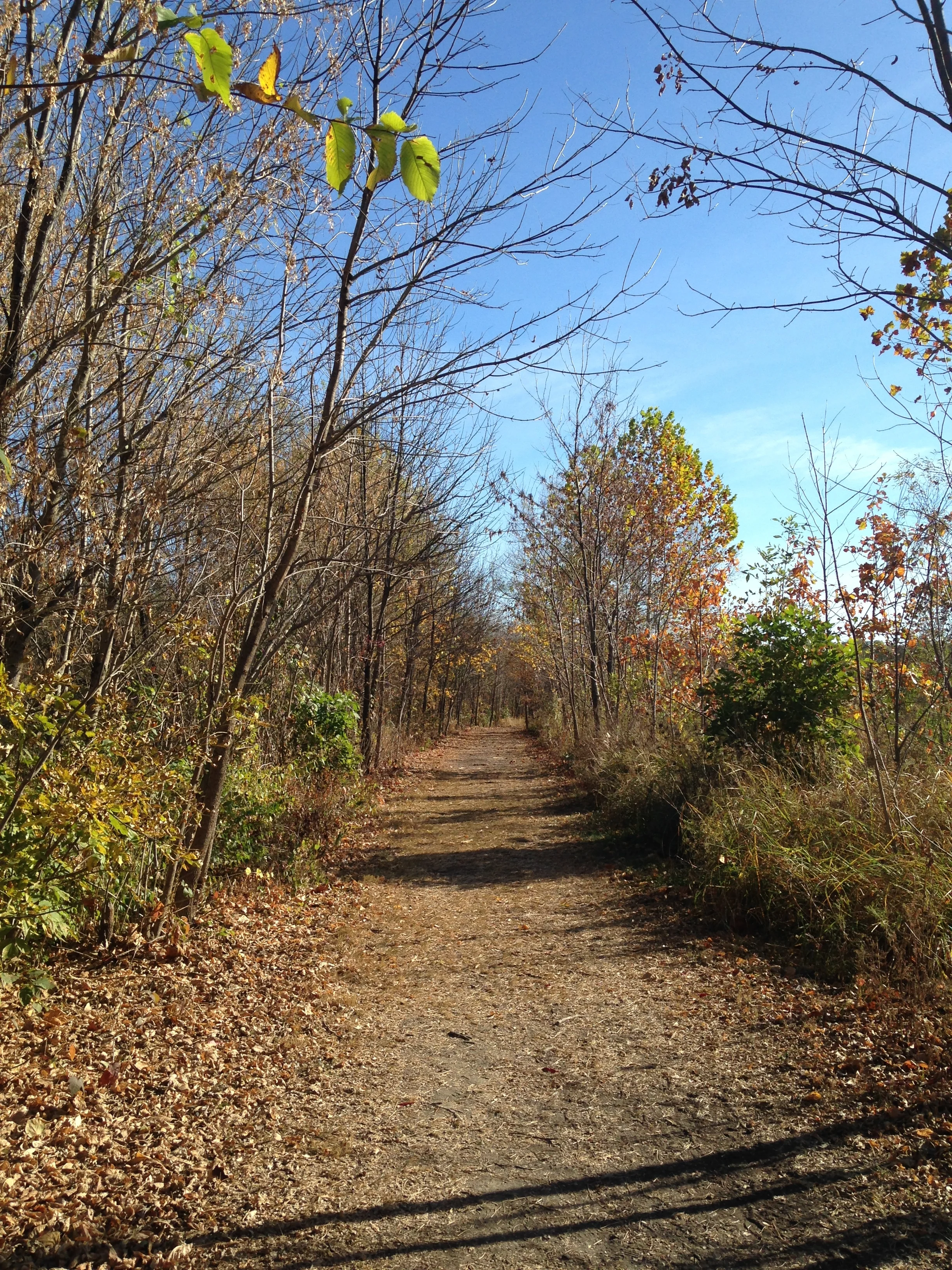 Cry: A Journey Through Postpartum Depression