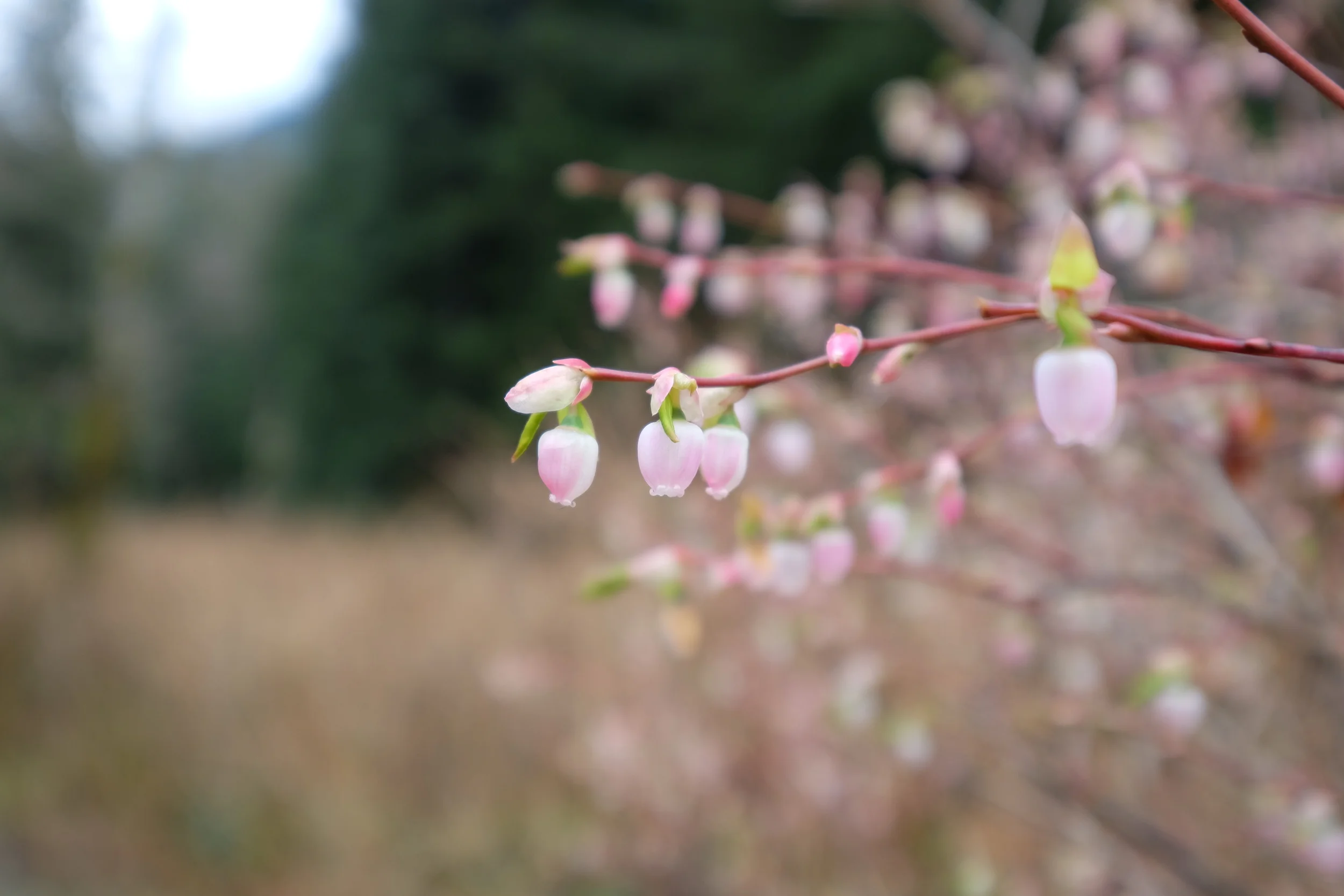 DSCF5538.JPG