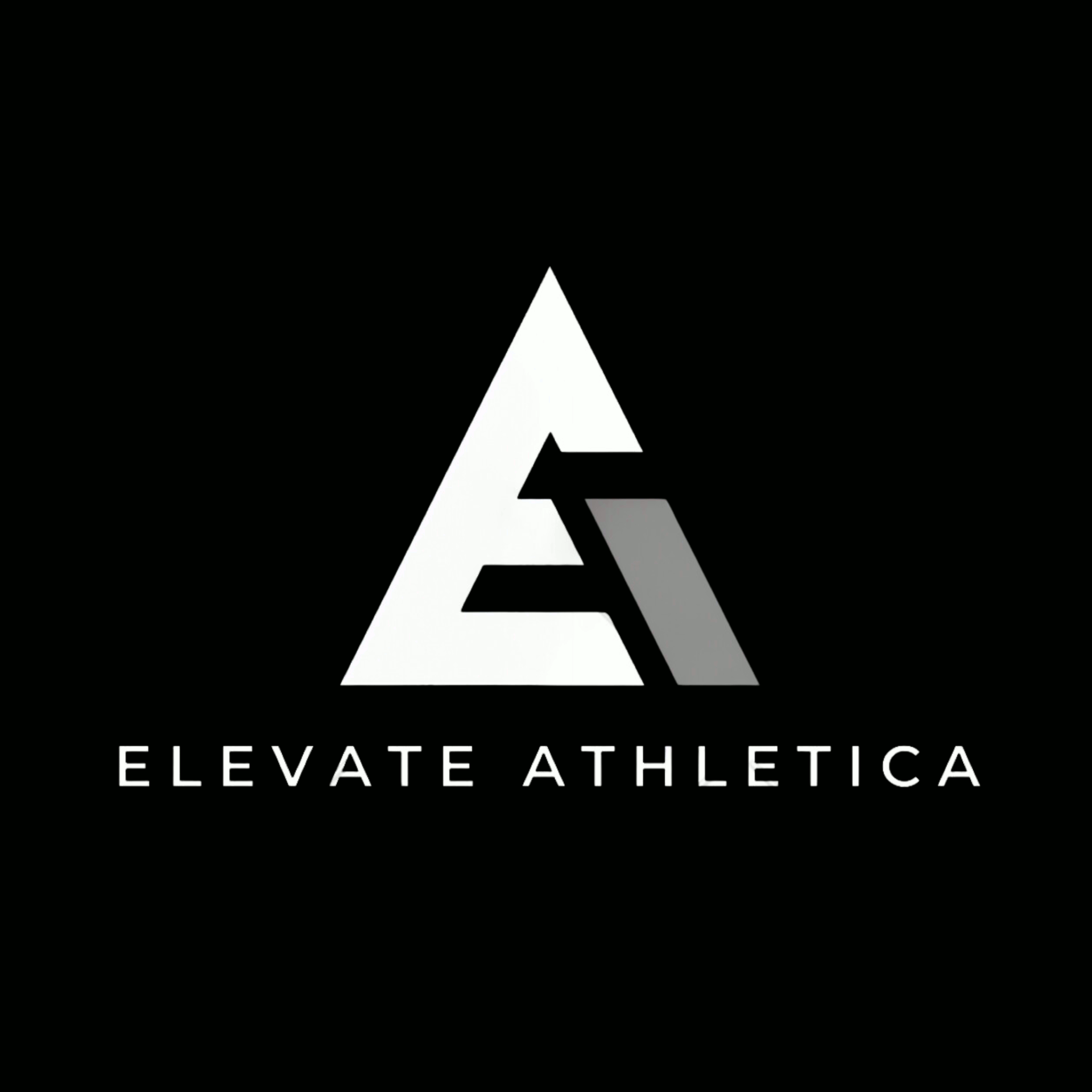 logo1_compressed.png