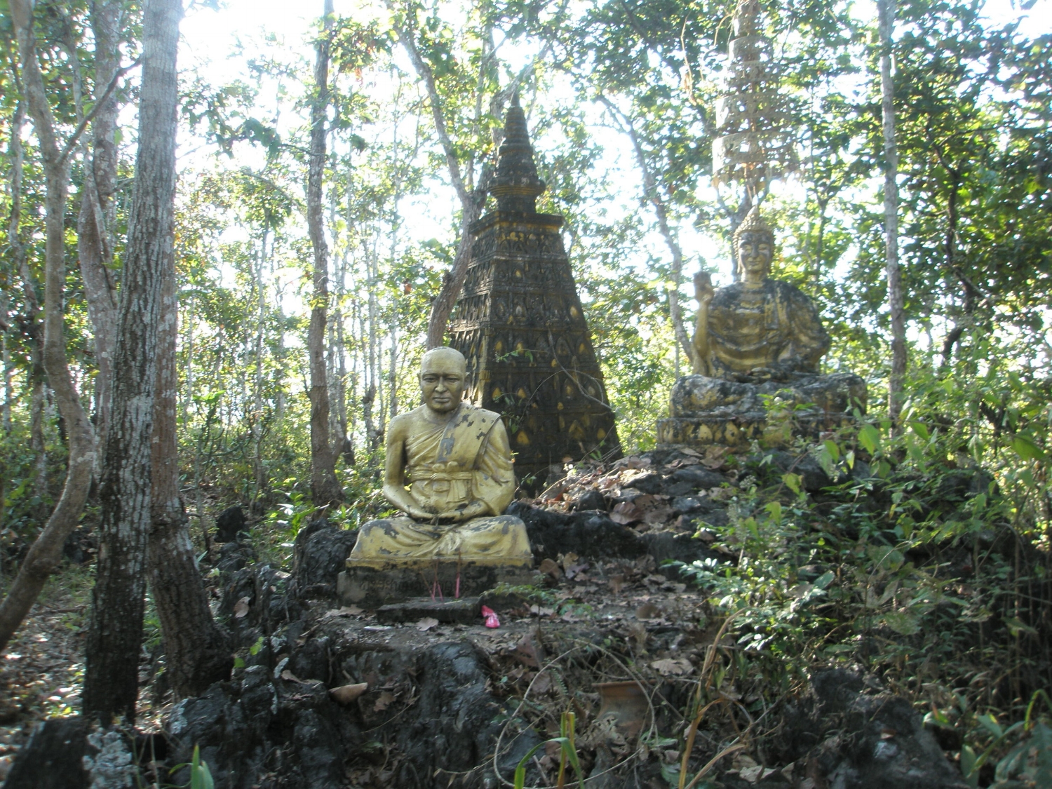 P1050470.JPG