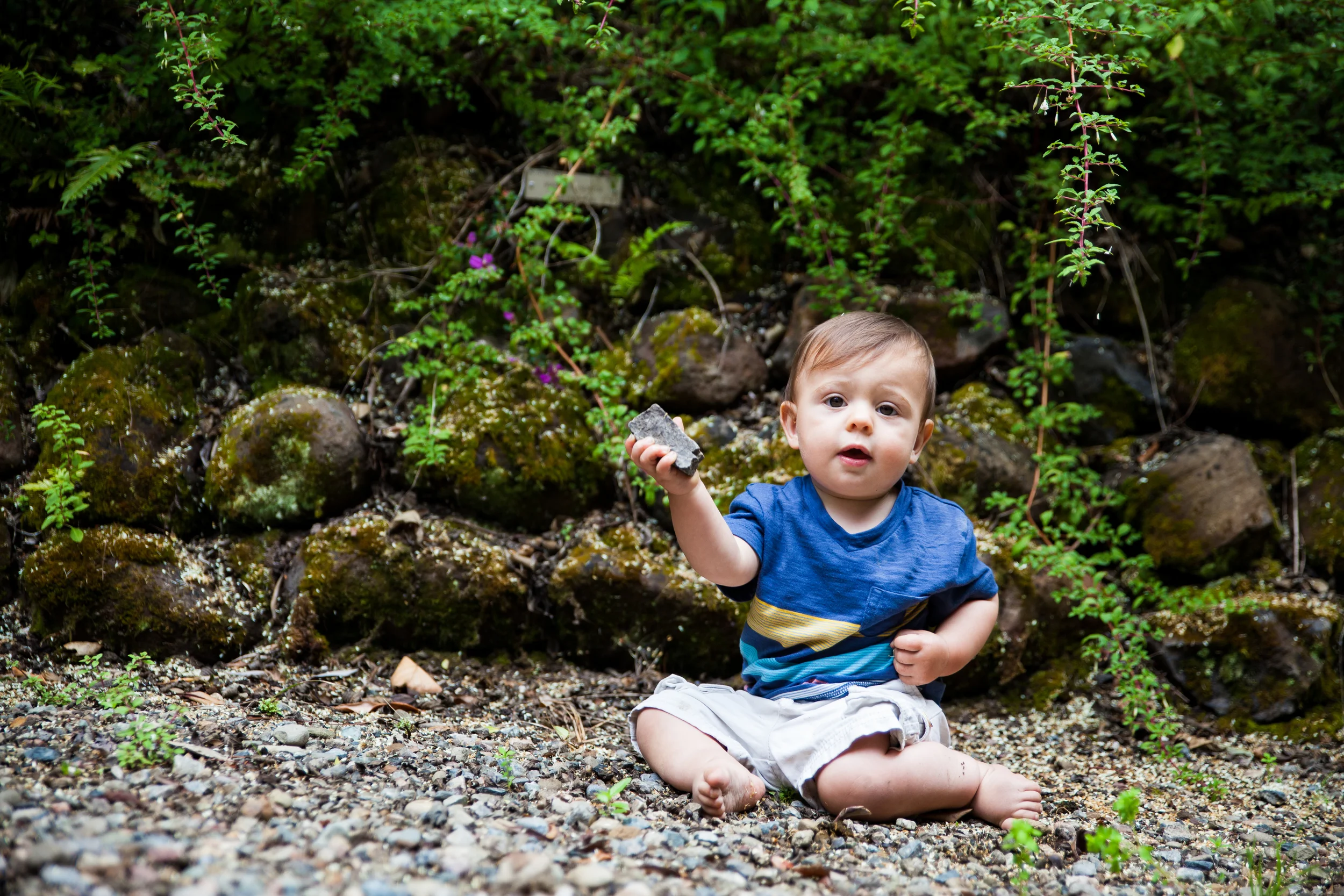 Rocks. This boy - always with rocks. 
