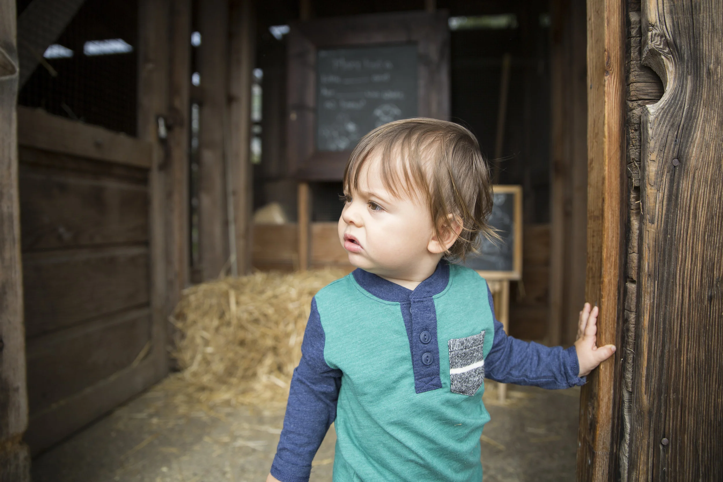 He tried to find his way into the chicken coop, but finally gave up and was ready to move on to something else. Thankfully there was so much else to see. 