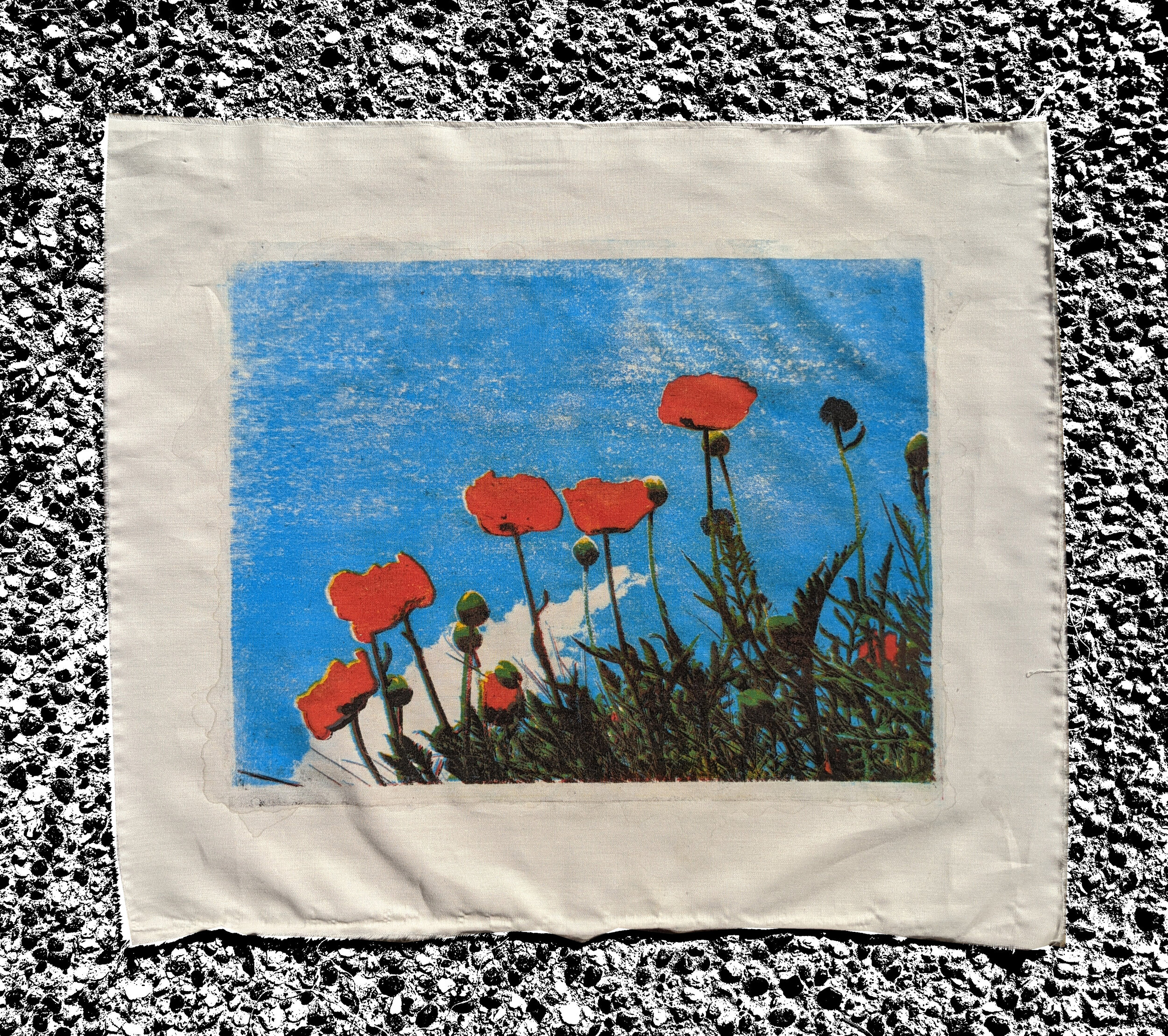 Poppies Rising  (Copy)