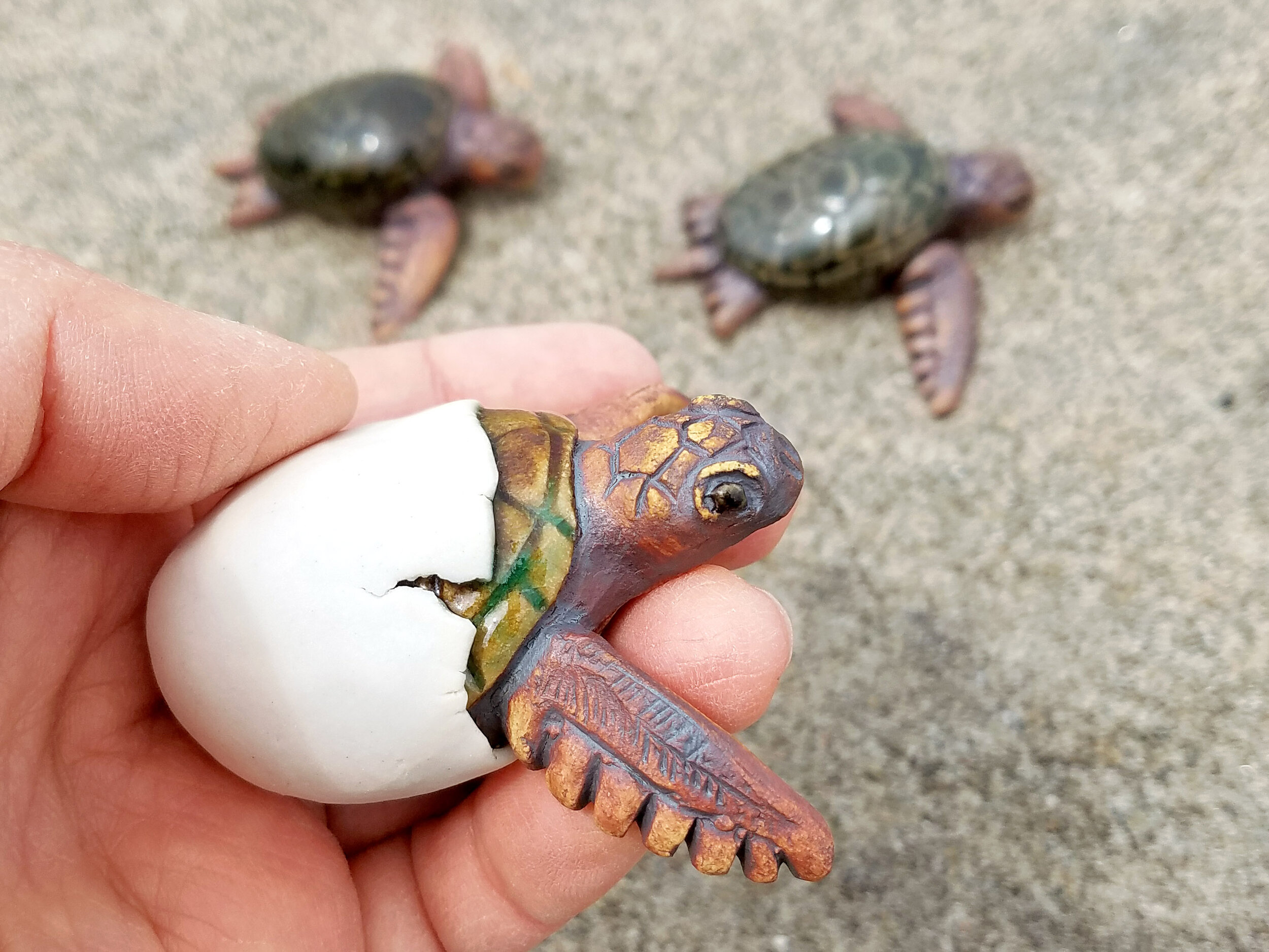 Hatching Turtle 