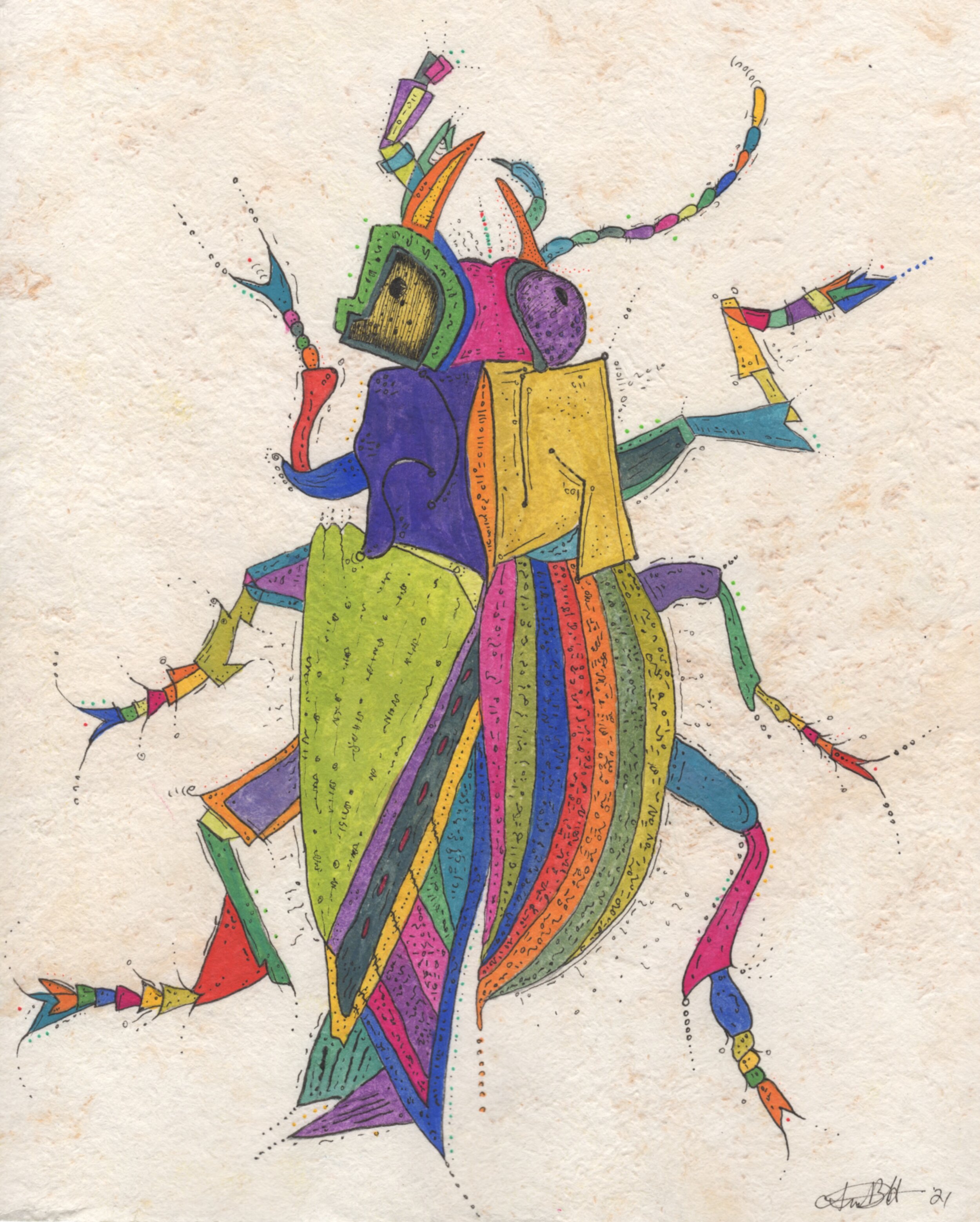 Escarabajo.jpeg