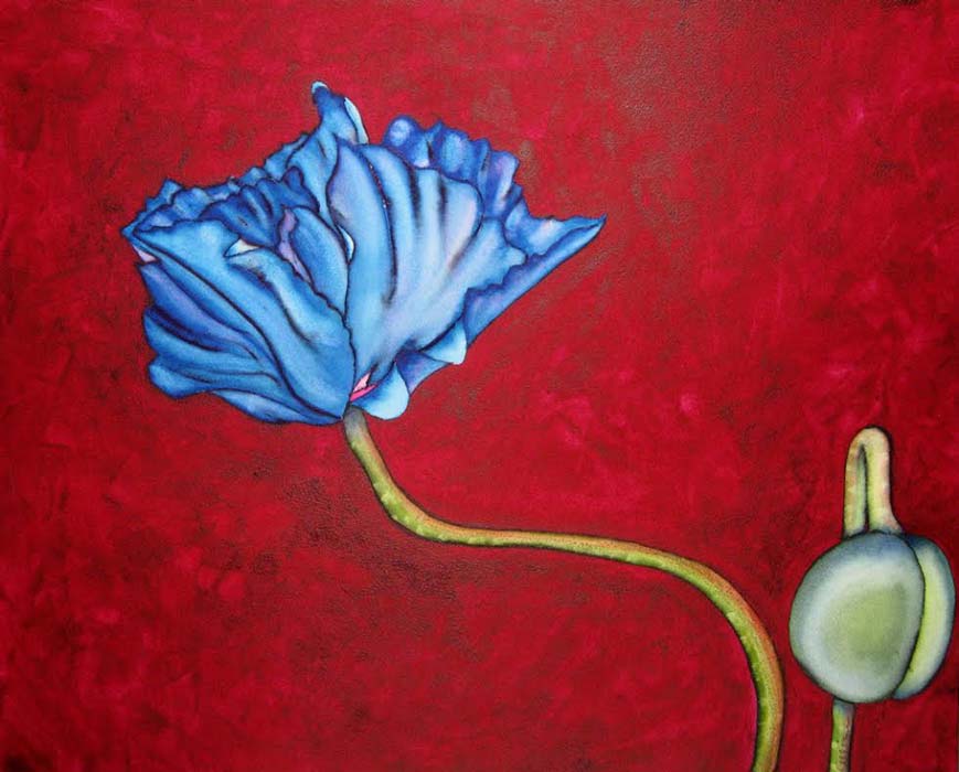 Argy-Burgess,Blue-Poppy,16-X-20',-WC-sml.jpg