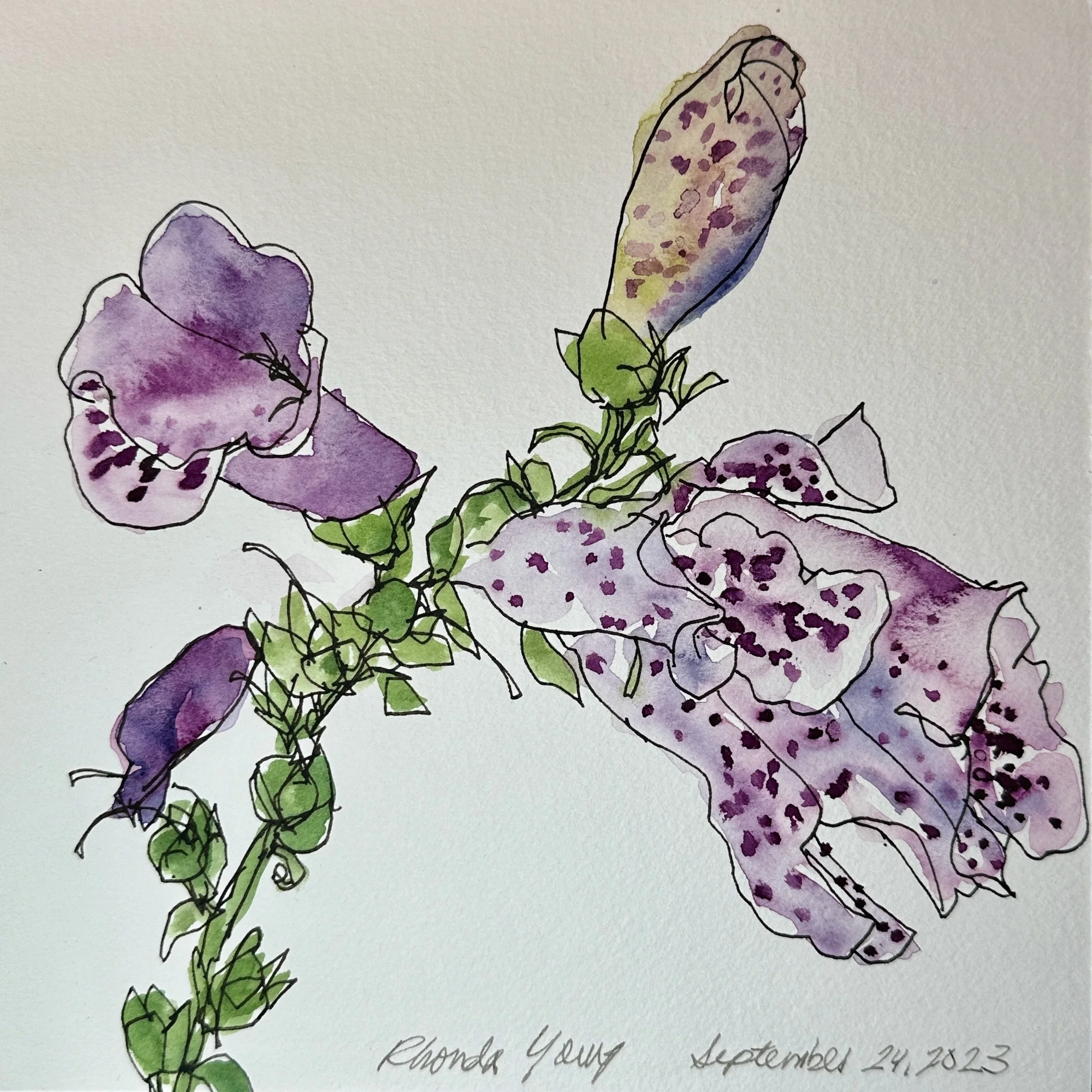 young_foxglove2.jpeg.jpg