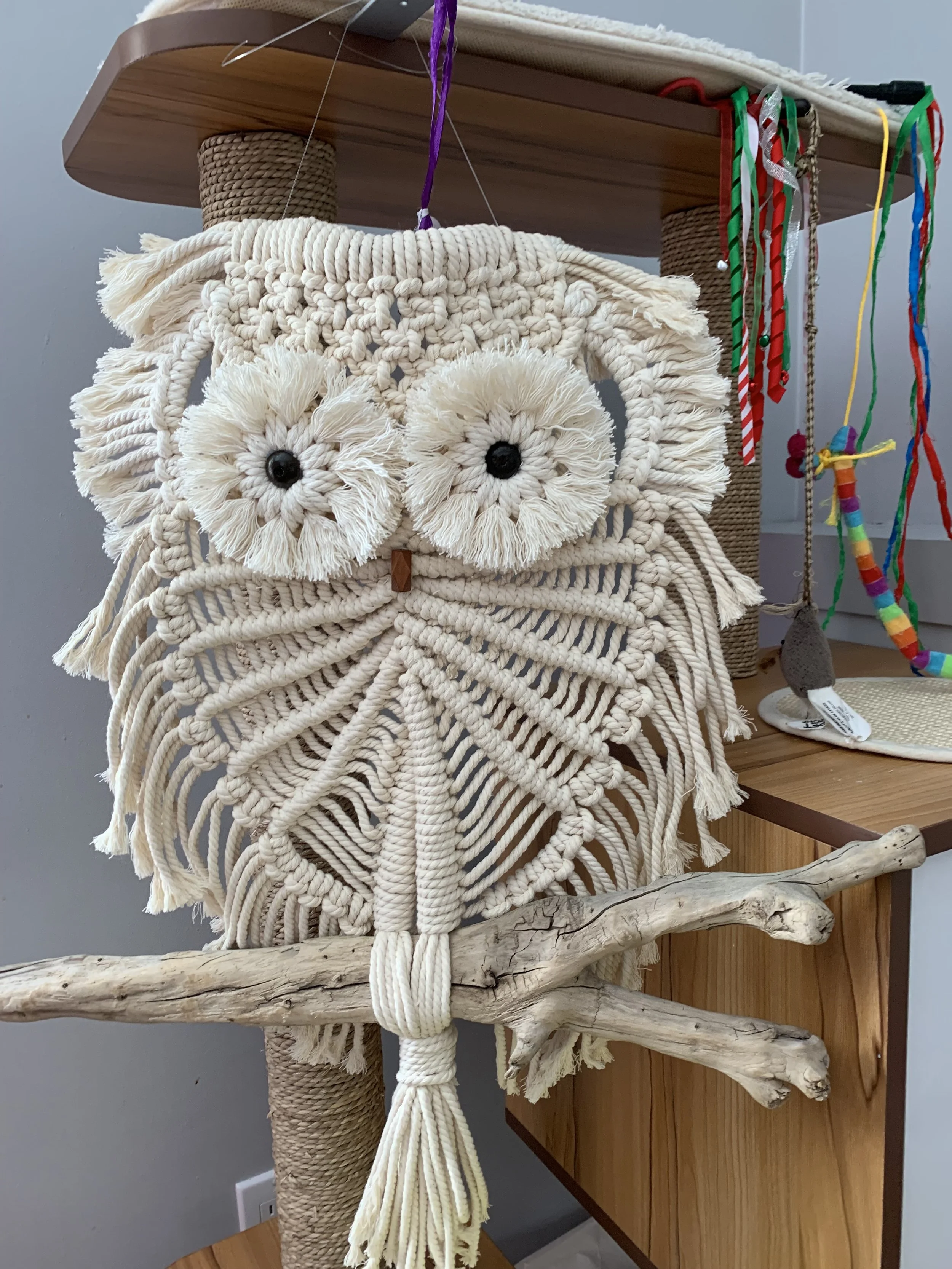 Silvia Martin 3.jpeg