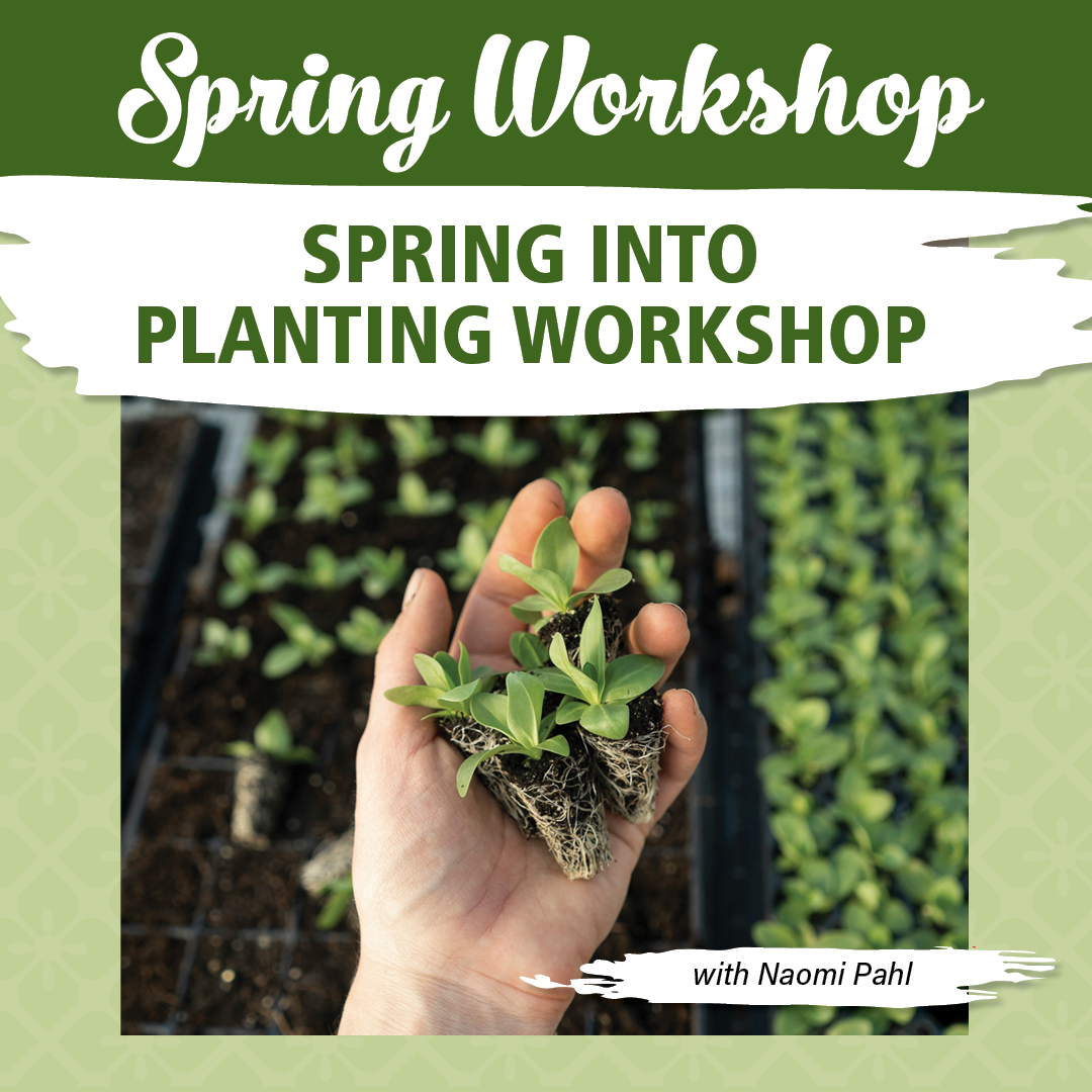 Spring into Planting Workshop