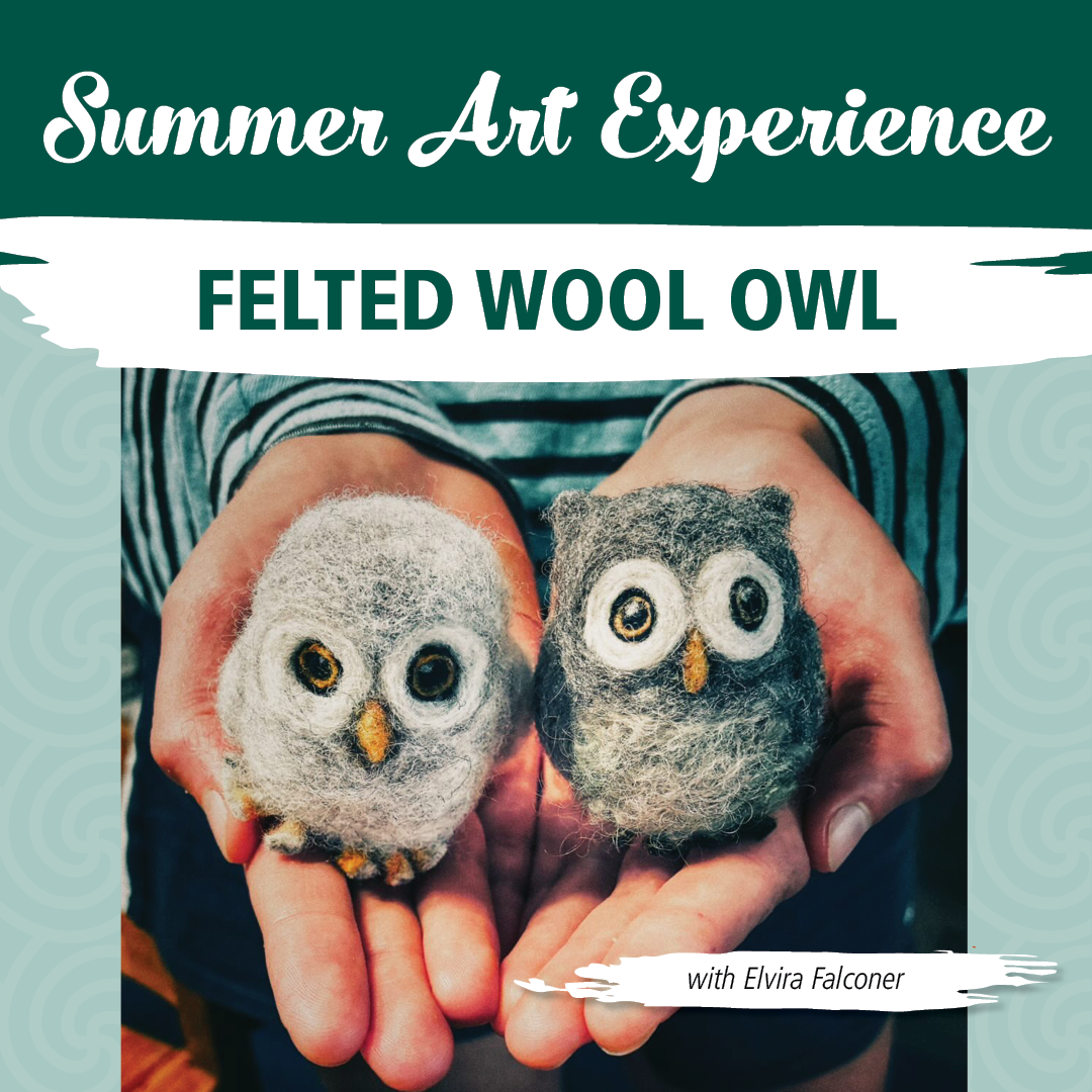 Art Experience: Felted Wool Owl