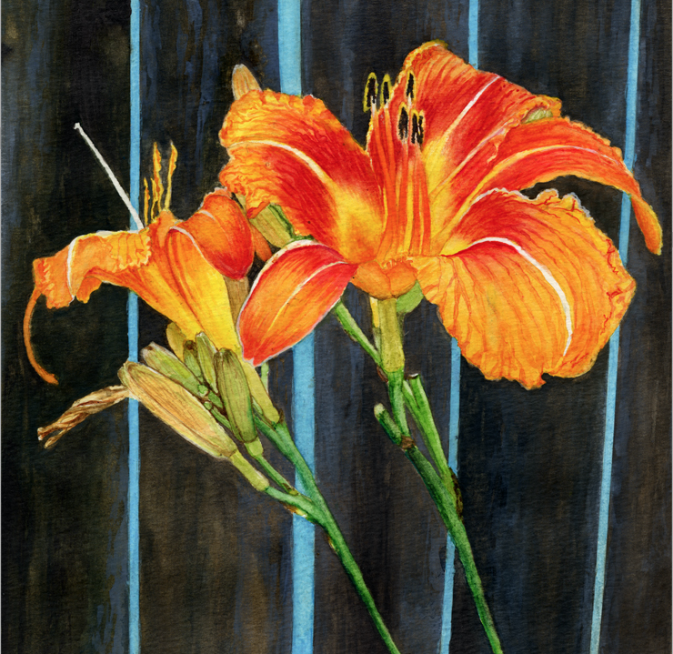 2024_DF_Orange Lilies.png