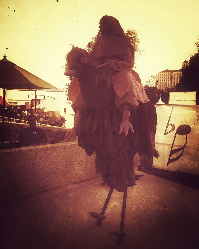 Bird Passenger? #artsfestival #utah