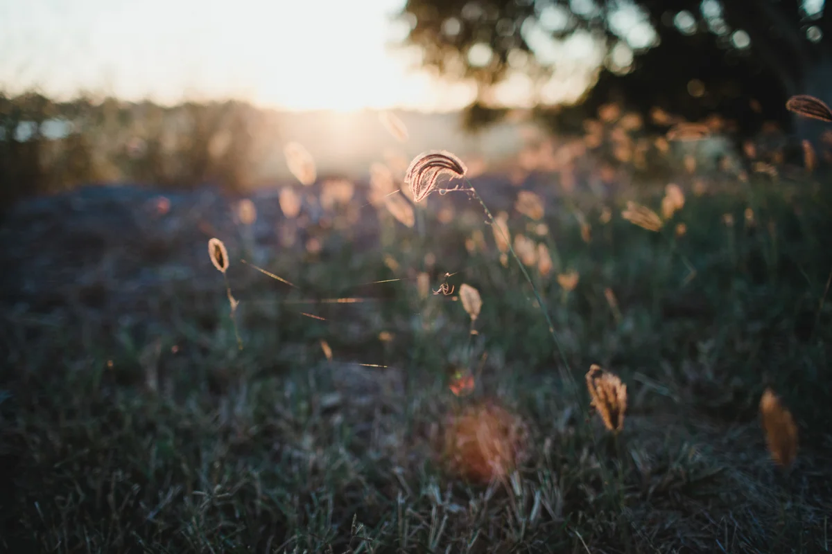 marina locke photography 14.jpg
