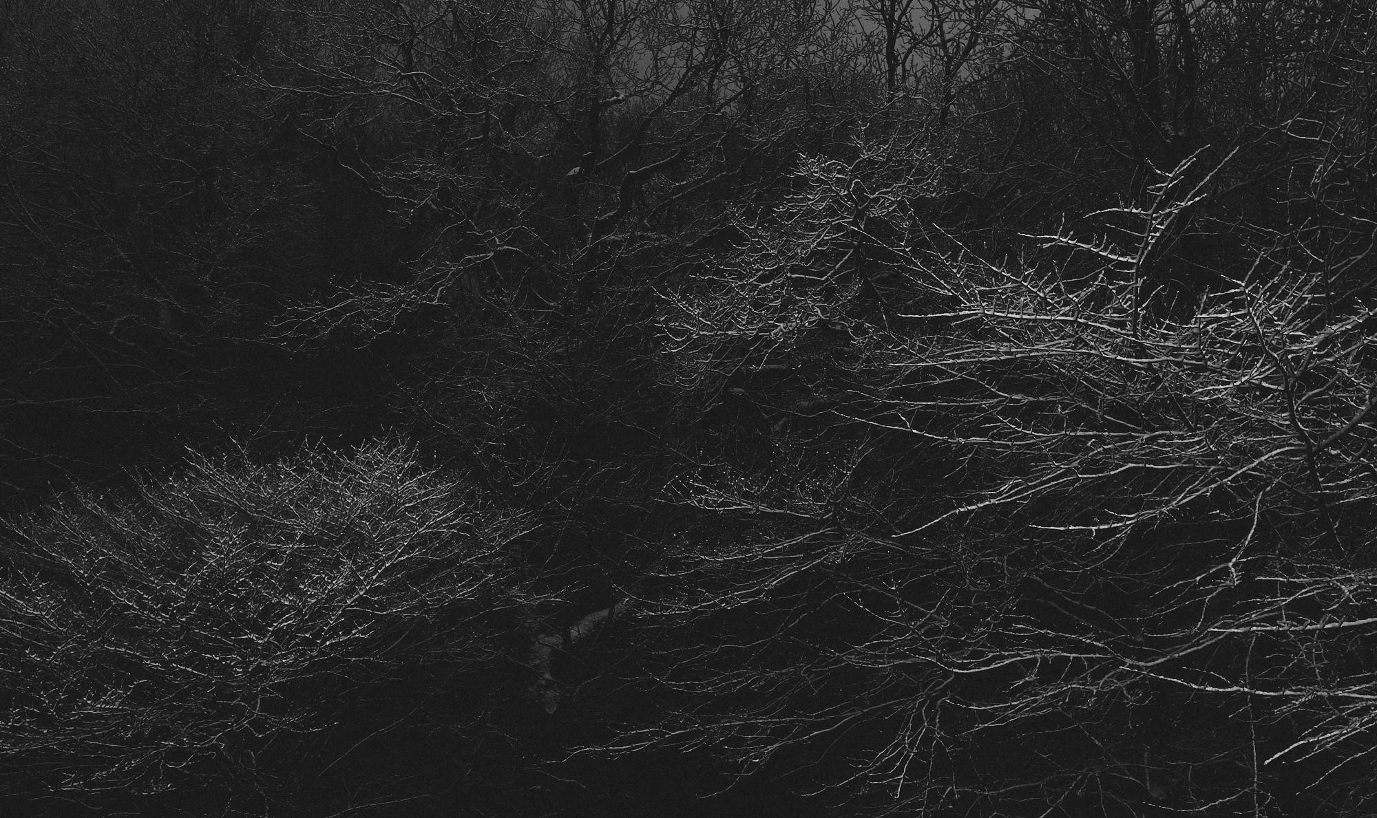_84A6076.jpg