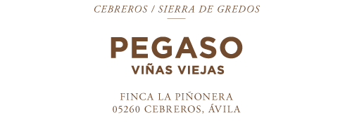 TR_WEBSITE_LOGOTYPES_PEGASO.png
