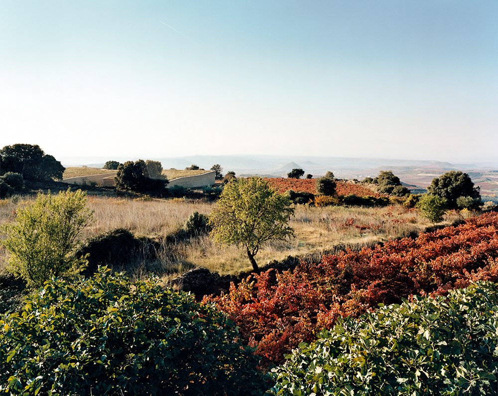 001_Bodega-Lanzaga_Rioja.jpg