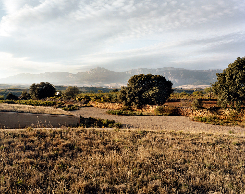 004_Bodega-Lanzaga_Rioja.jpg