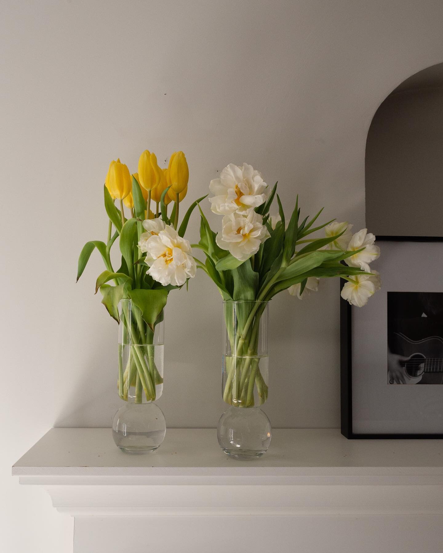 Tis the Season. Tulips 🤍

#bloom #tulip #soniaafonsostudio #artedigital #photographystudio #framesmag #nownessweekly #fineartphotography #fineart